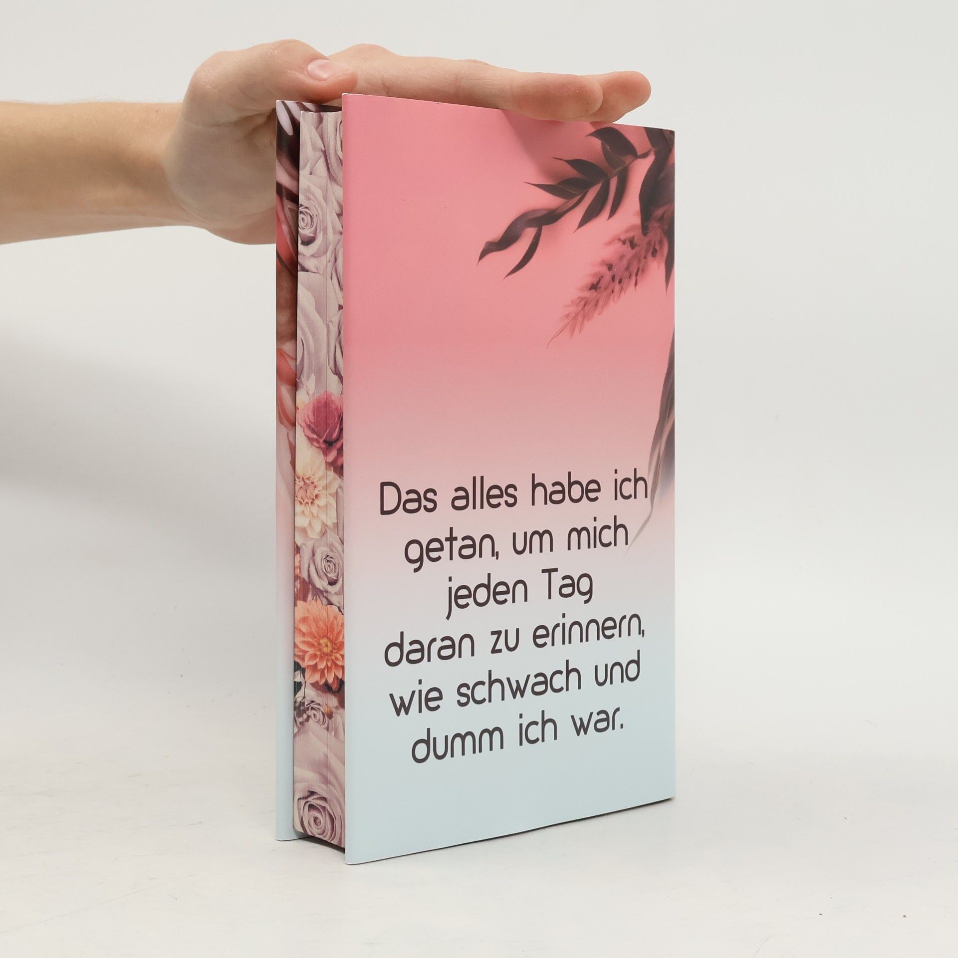 Vera Schaub YOU BROKE ME Twice (Broke Me - Reihe 2)