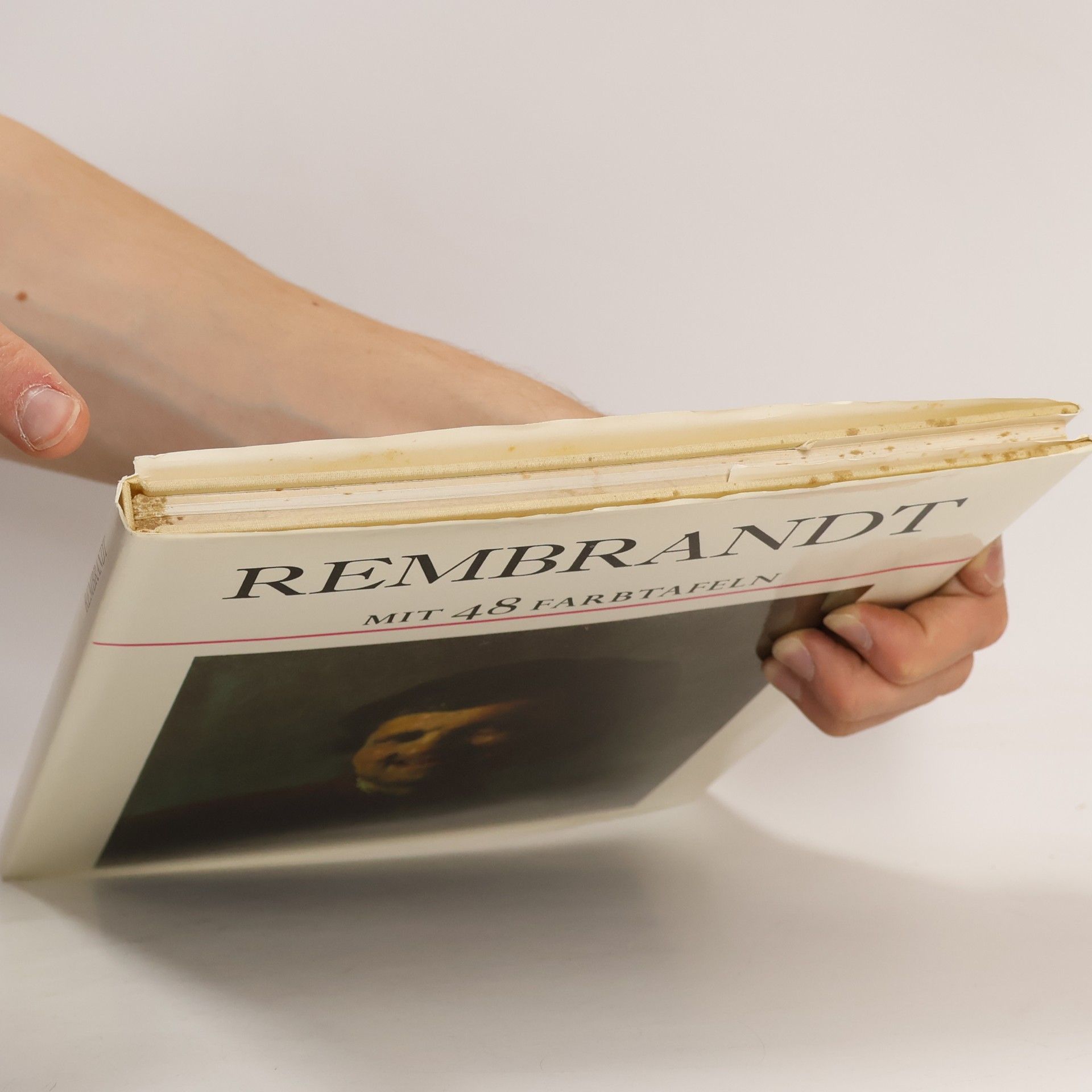 Michael Kitson Rembrandt mit 48 Farbtafeln