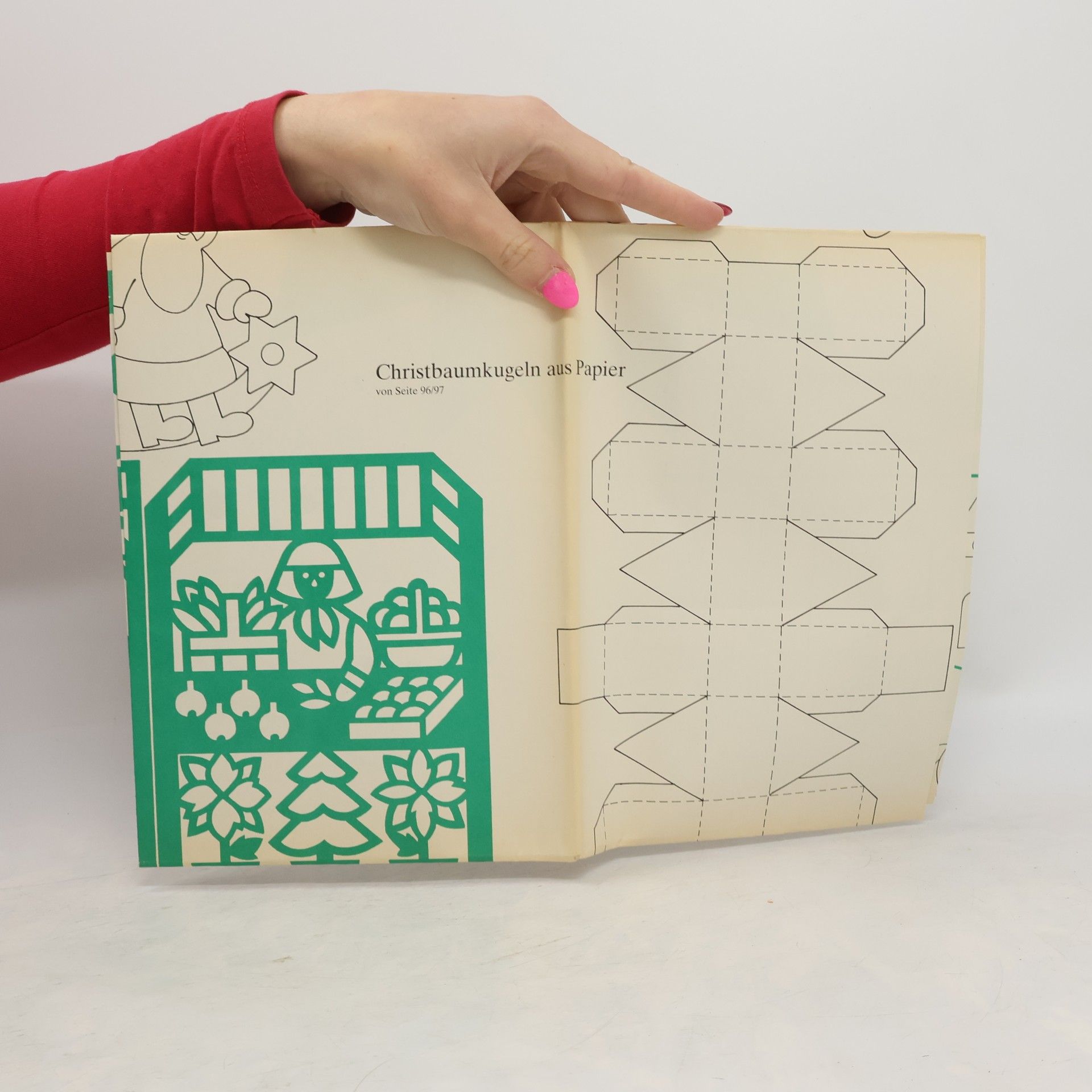 Barbara Rias-Bucher Brigitte, Das große Weihnachtsbuch