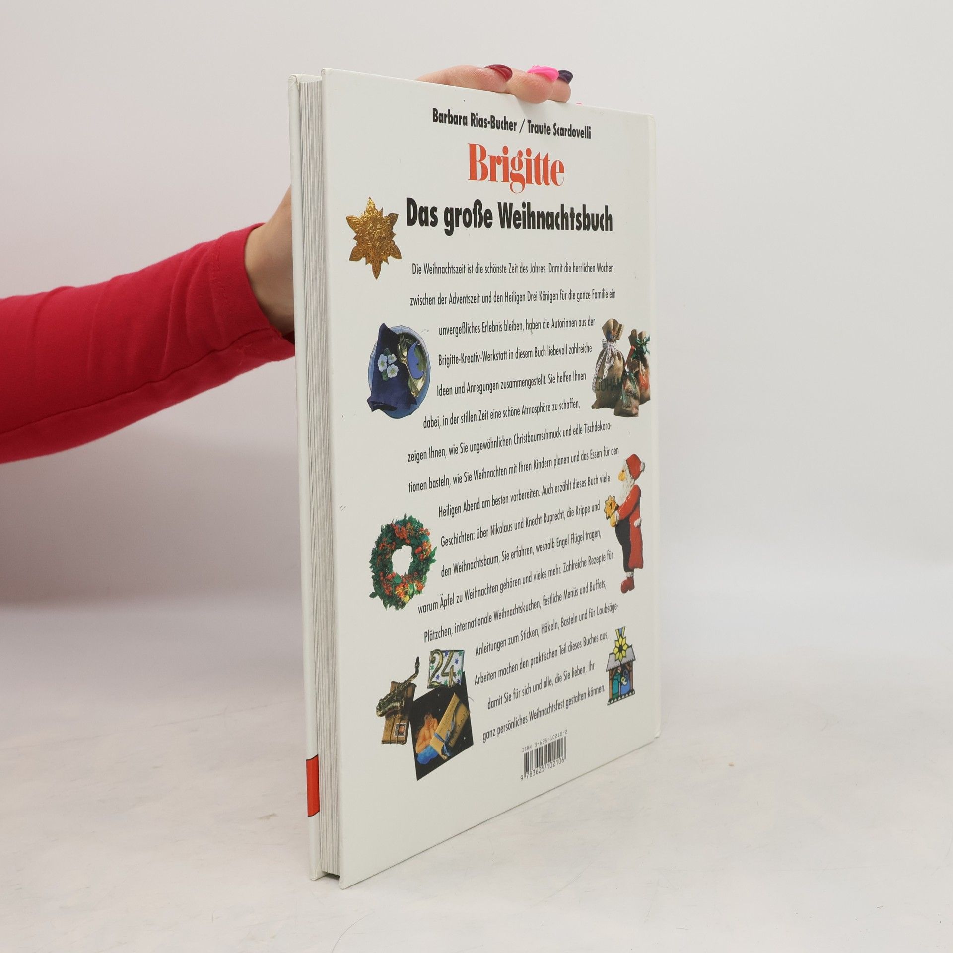 Barbara Rias-Bucher Brigitte, Das große Weihnachtsbuch