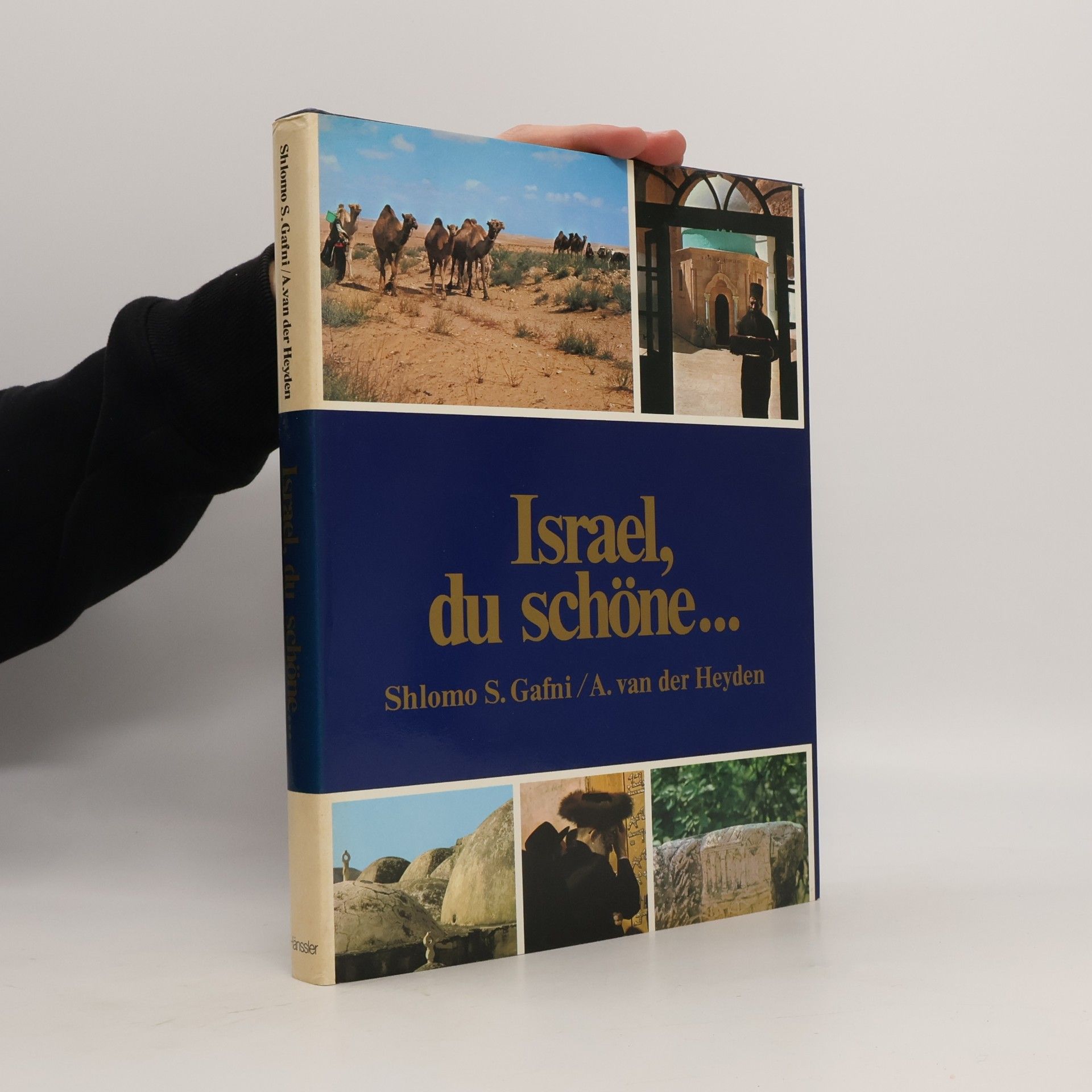 Israel, du schöne ...