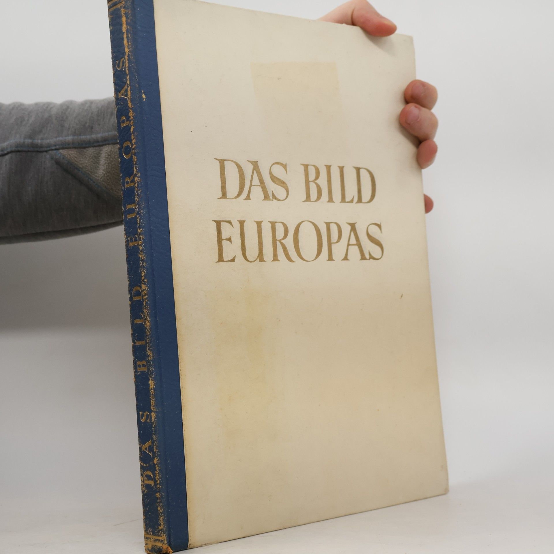 AA.VV. Das Bild Europas