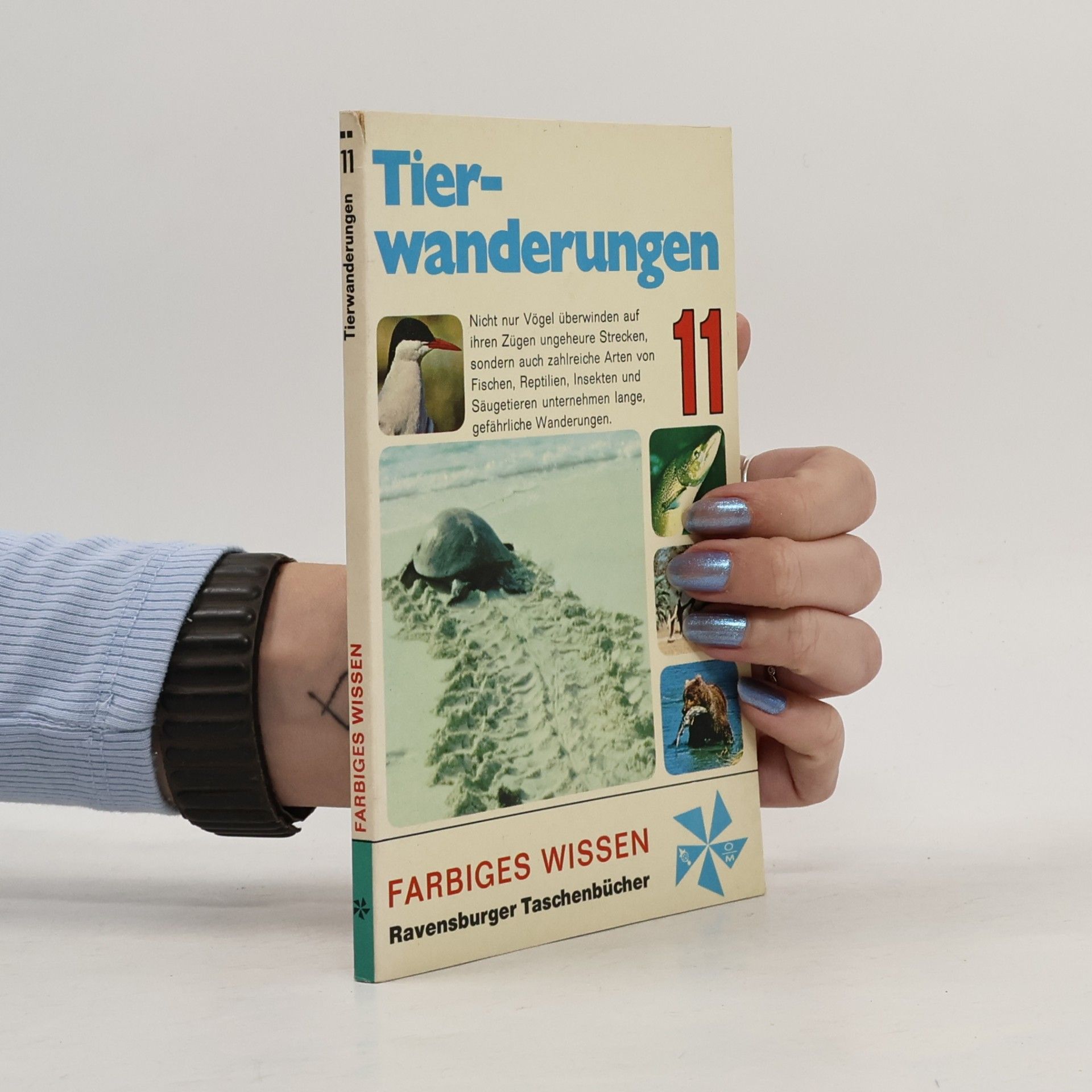 Tierwanderungen