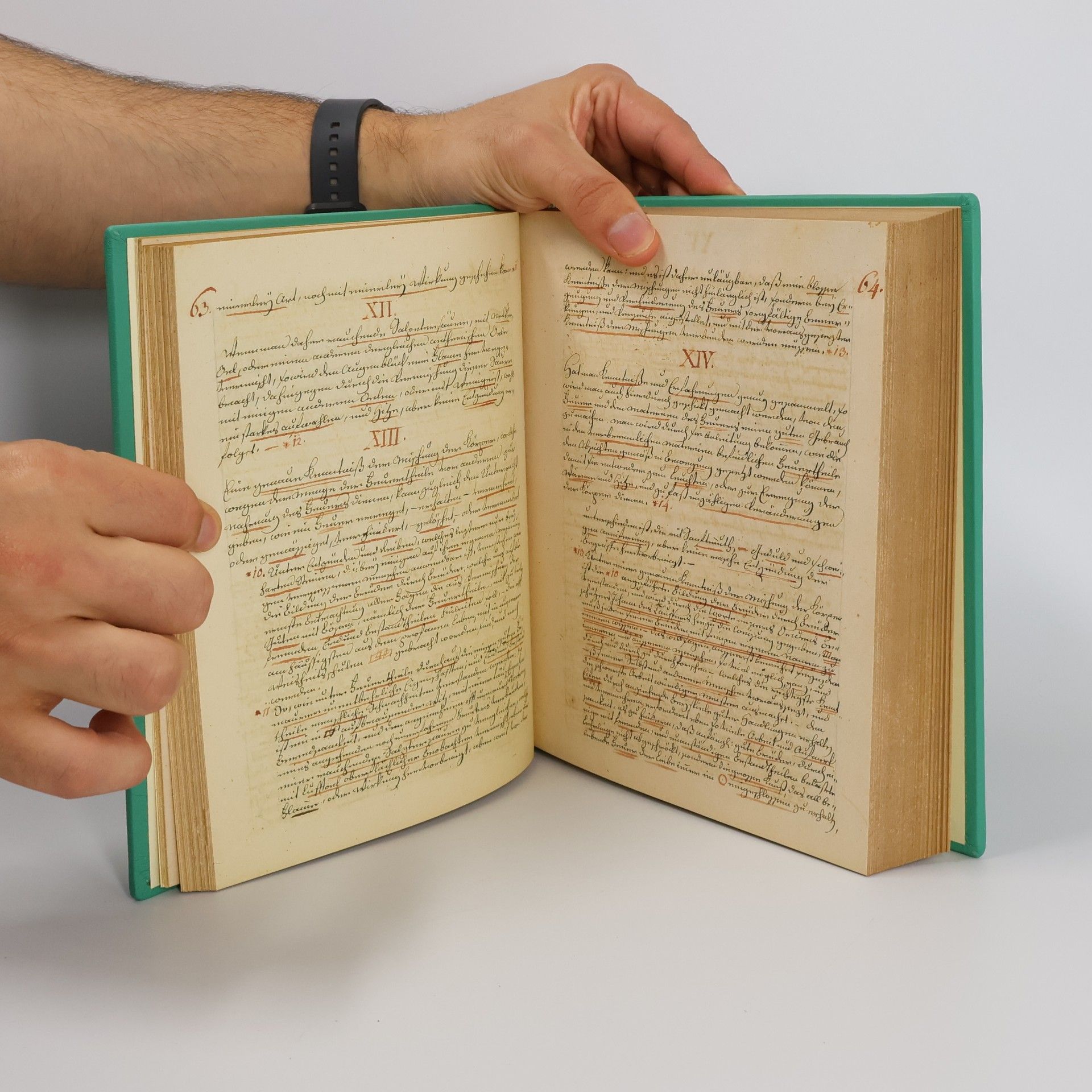 Joseph Bauernjöpel  Eine Wiener Freimaurerhandschrift aus dem 18. Jahrhundert