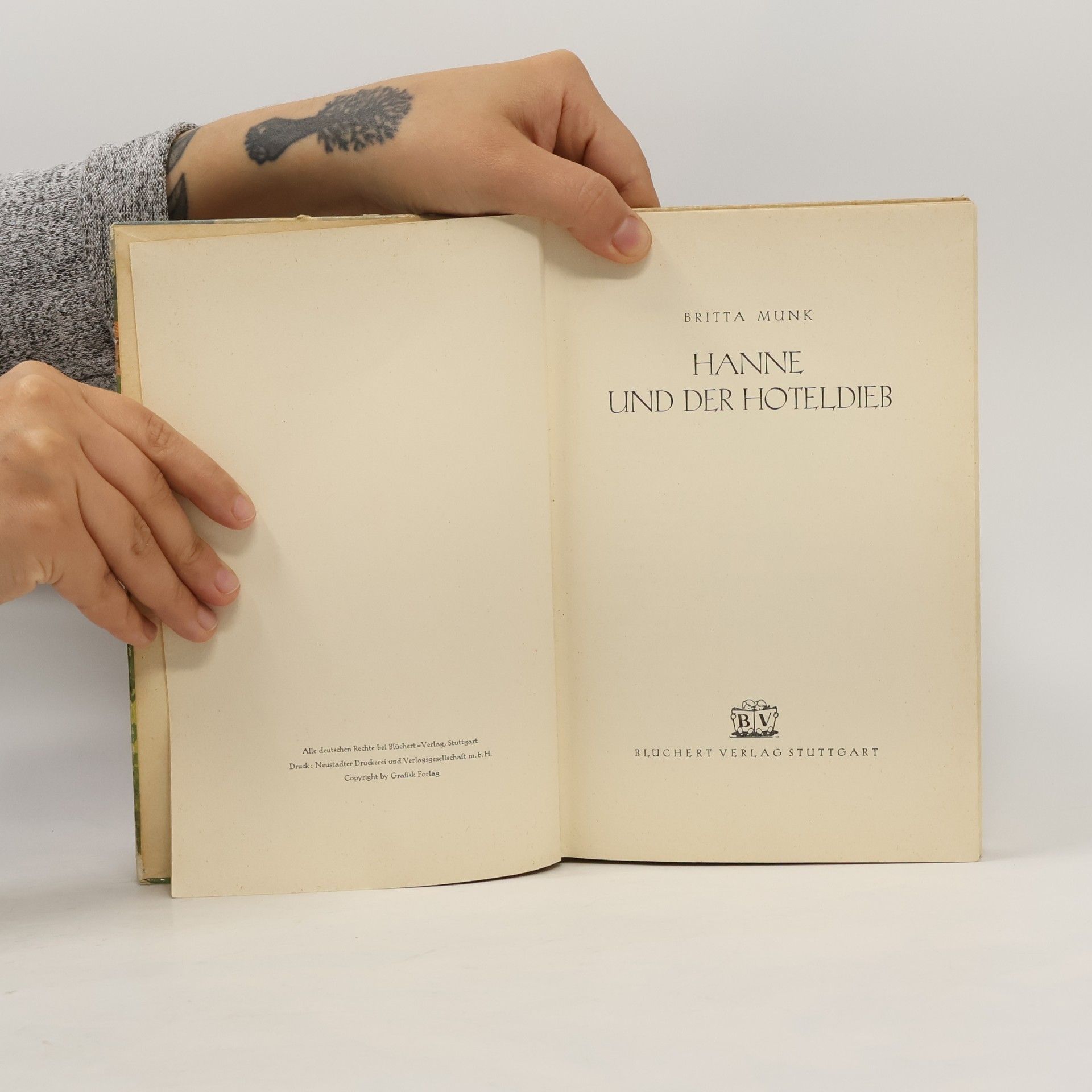 Bengt Janus Nielsen Hanne und der Hoteldieb