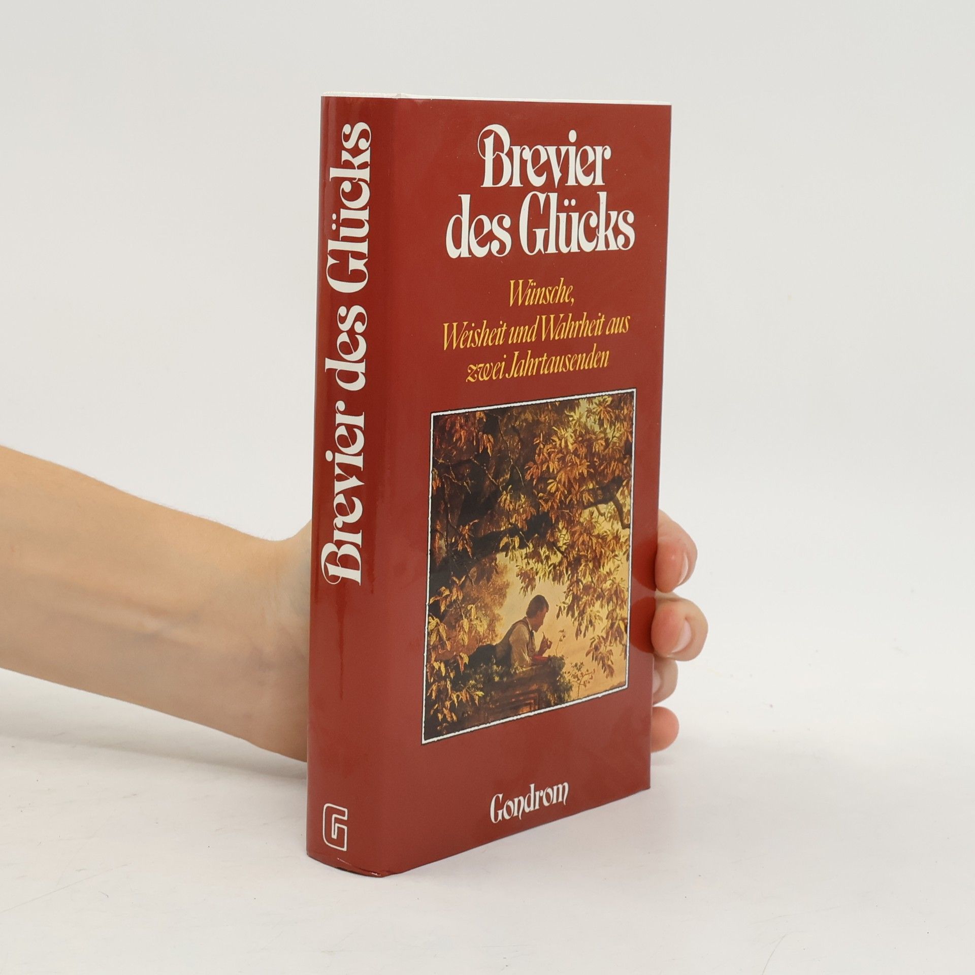 Dorothee Fetzer Brevier des Glücks