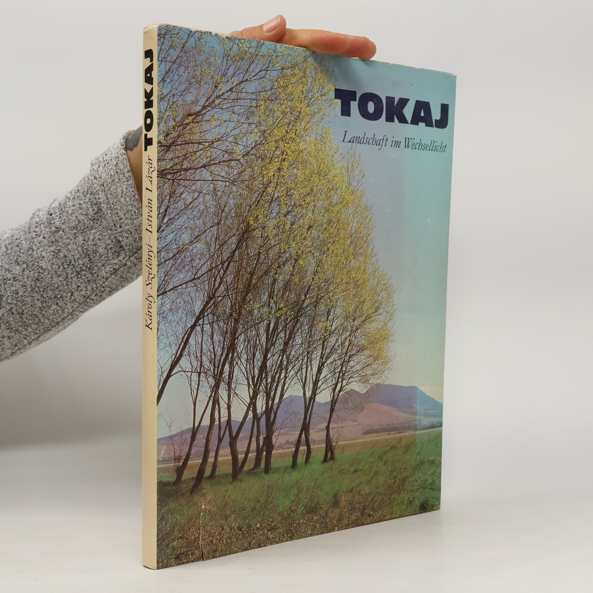 Tokaj. Landschaft im Wechsellicht
