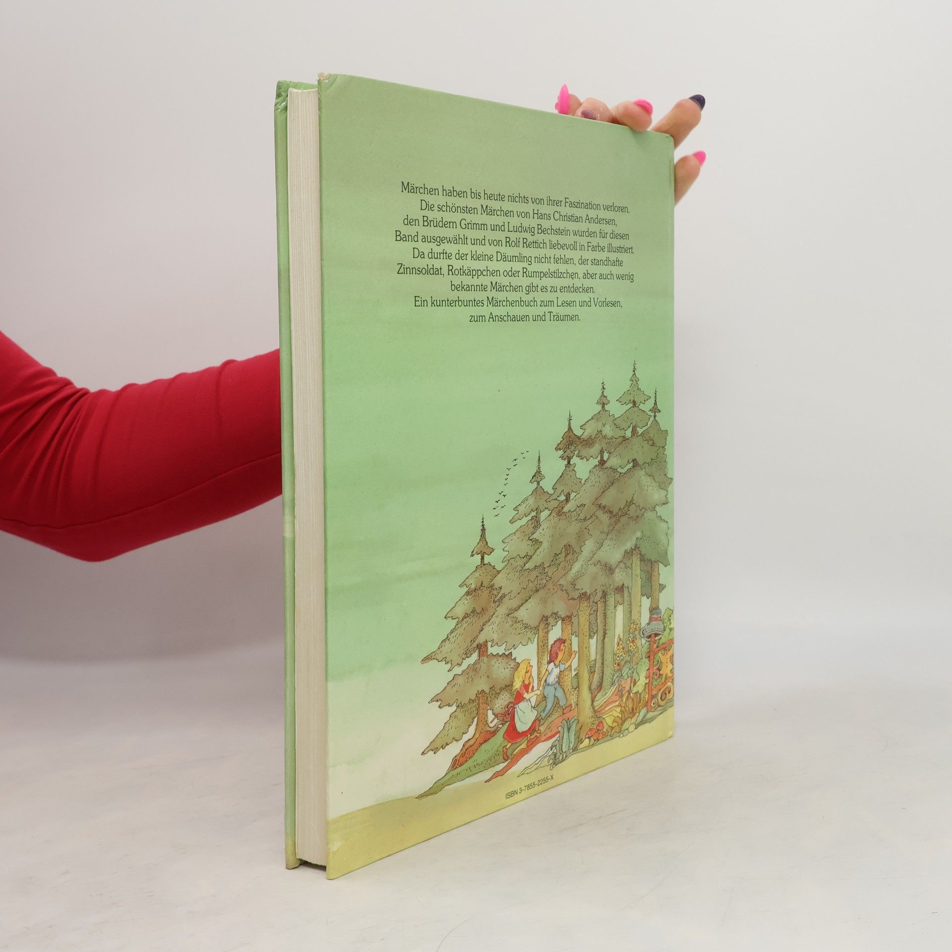 Collectif d'auteurs Das große bunte Märchenbuch