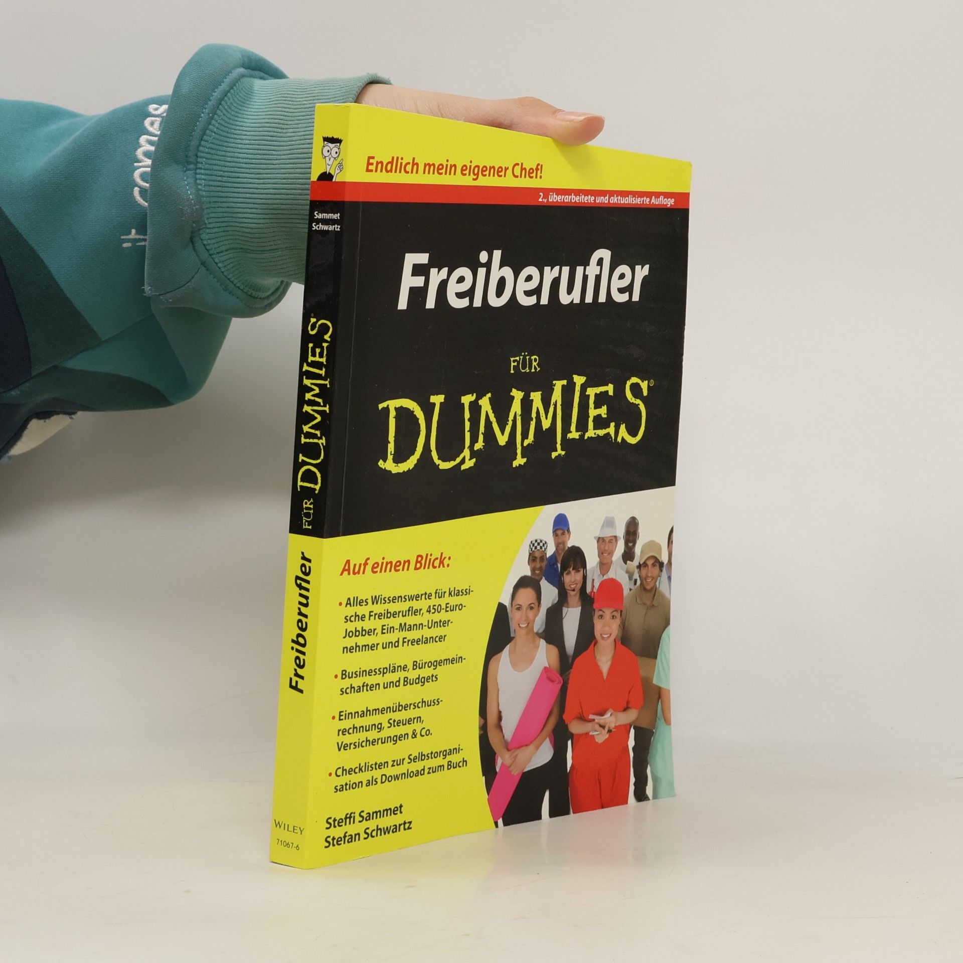 Stefanie Sammet Freiberufler für Dummies