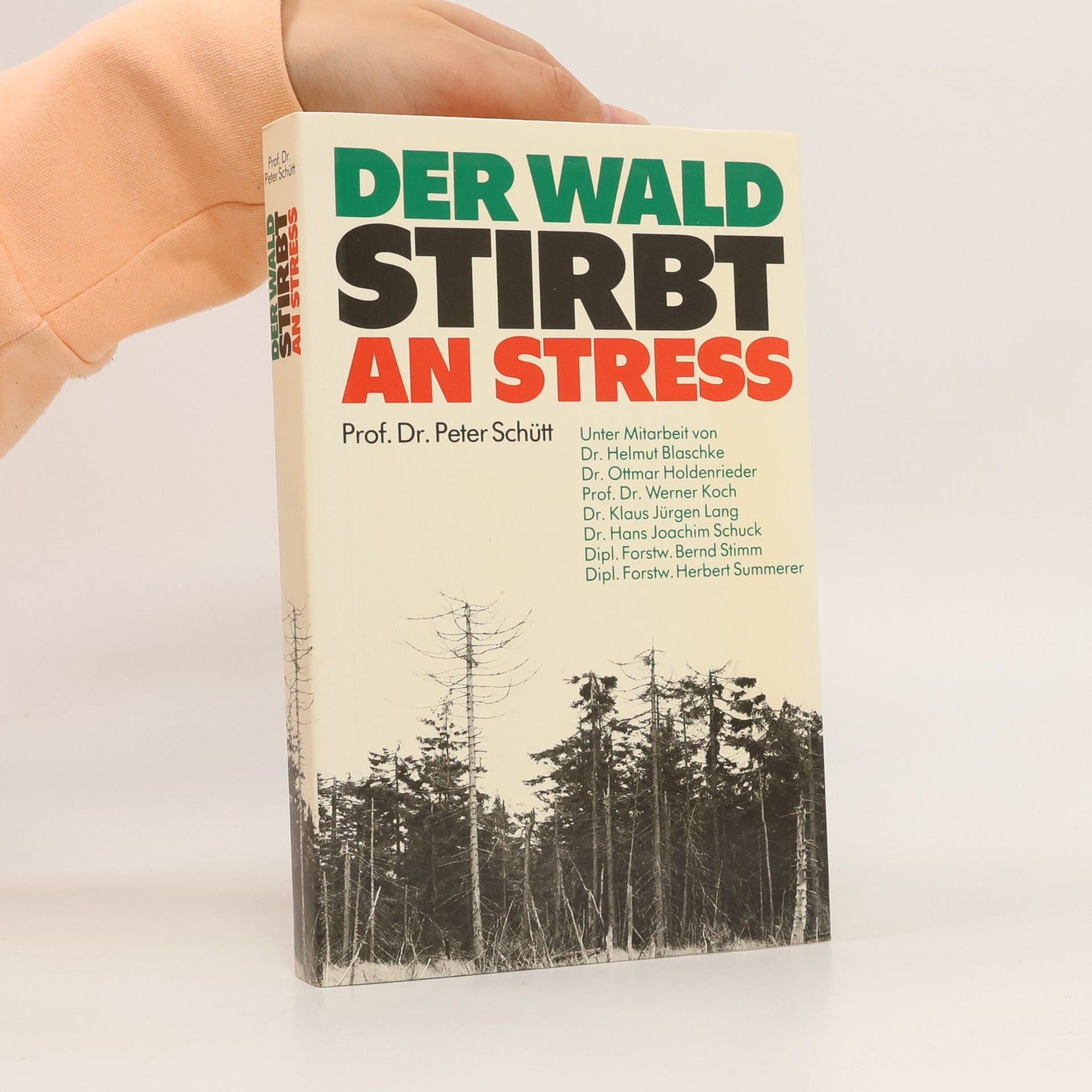 Der Wald stirbt an Stress