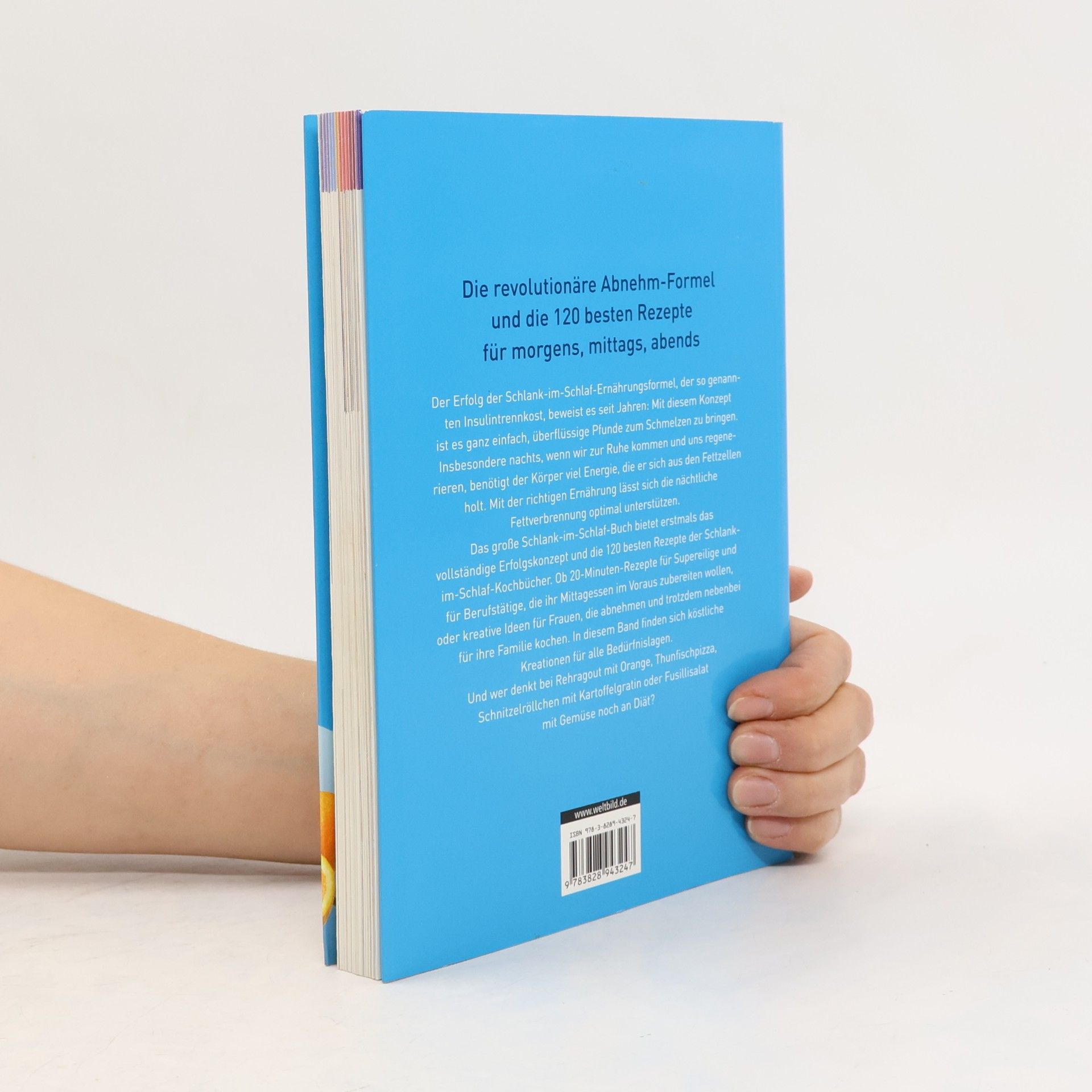 Detlef Pape Das grosse Schlank-im-Schlaf-Buch