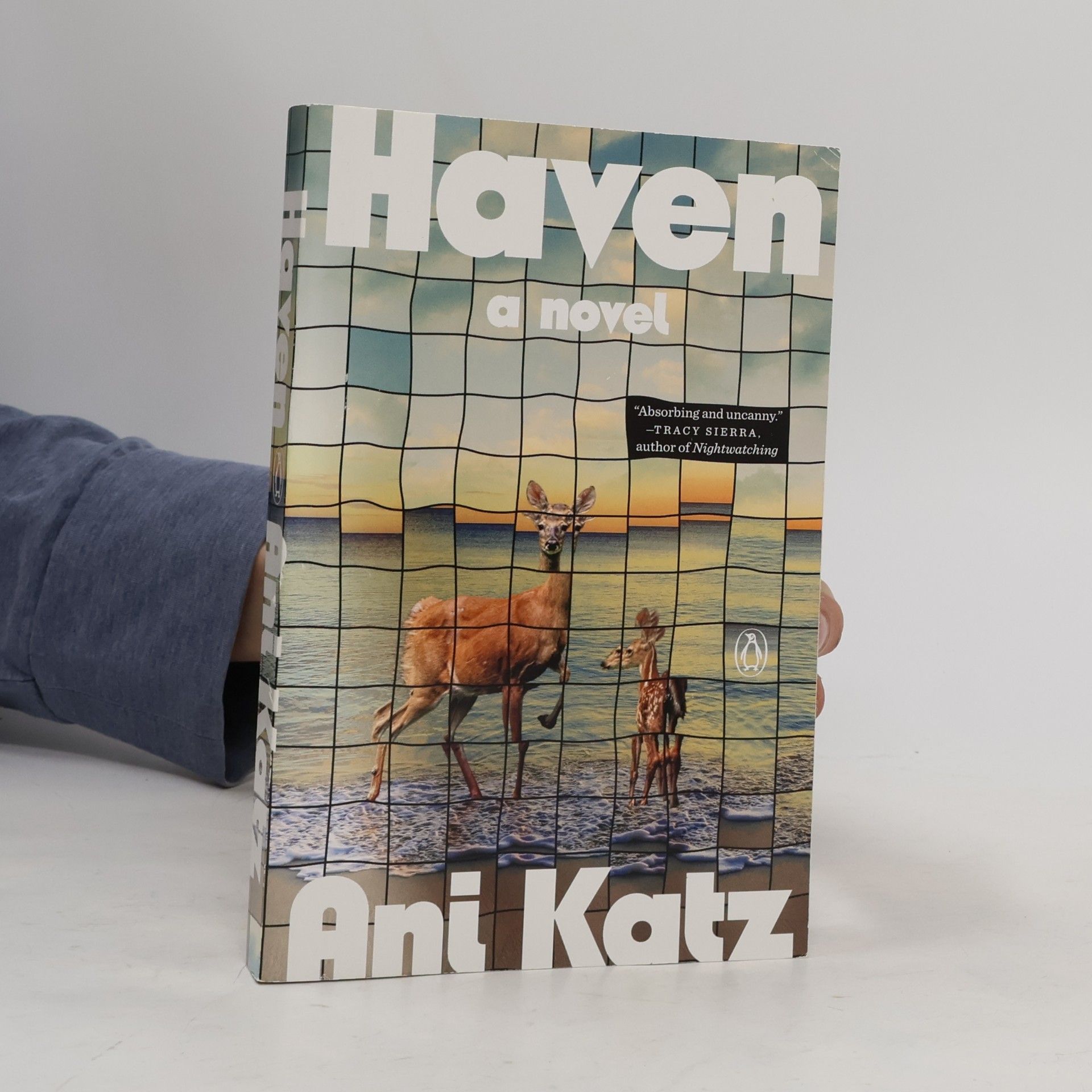 Ani Katz Haven: A Novel