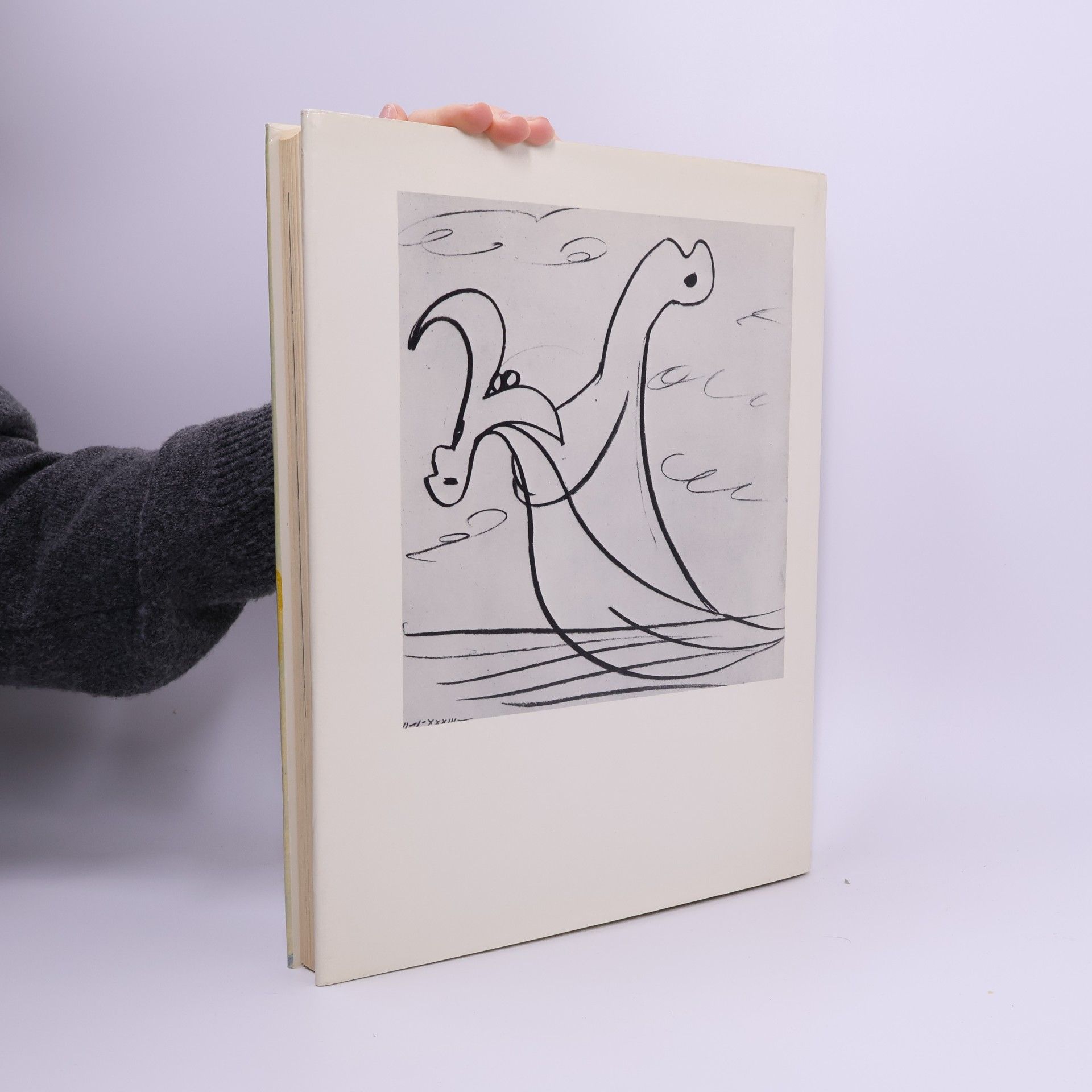 Georges Boudaille Picasso. Zeichnungen