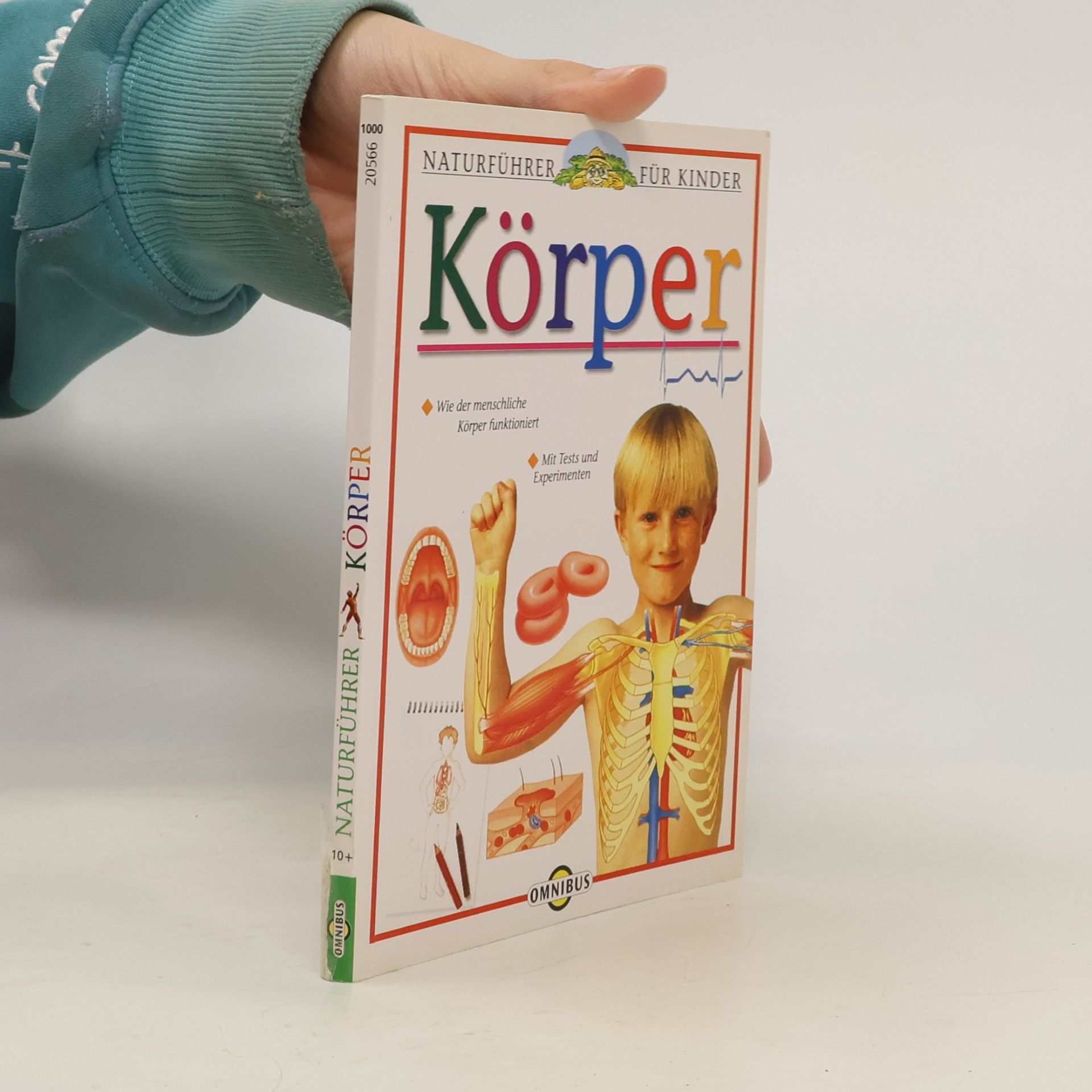 Mein Körper
