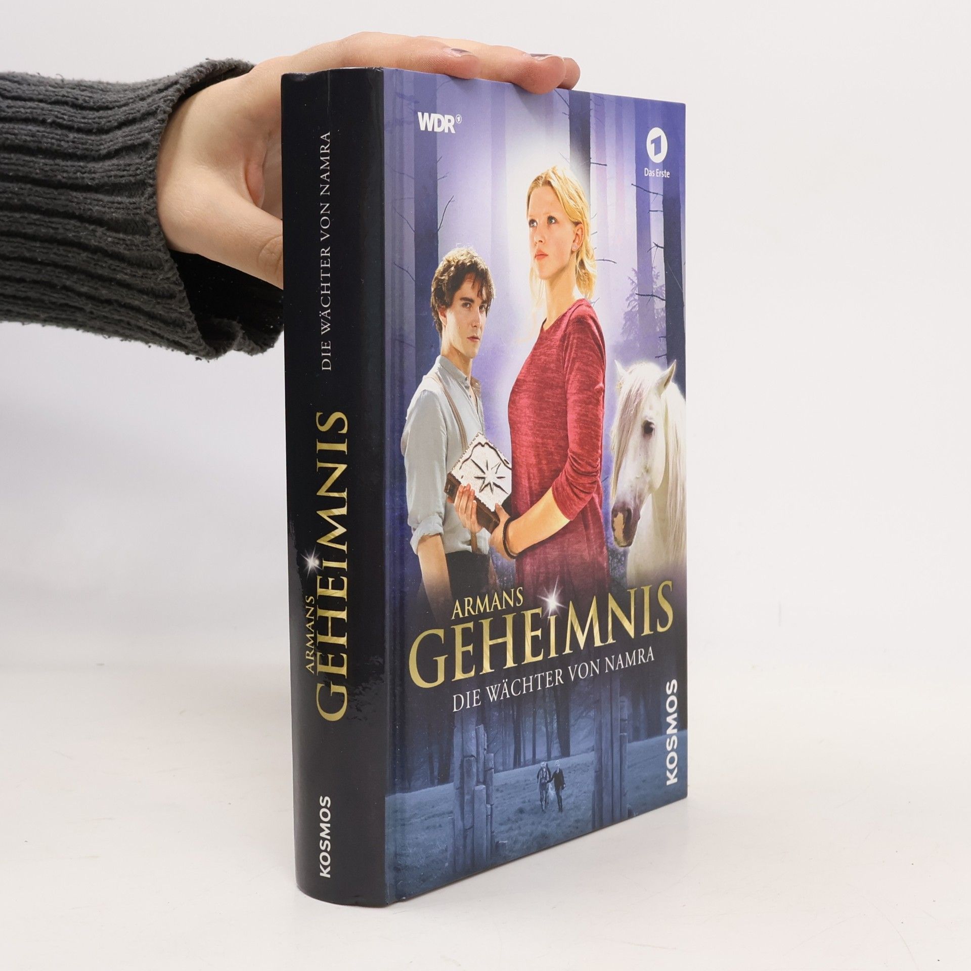 Armans Geheimnis - die Wächter von Namra