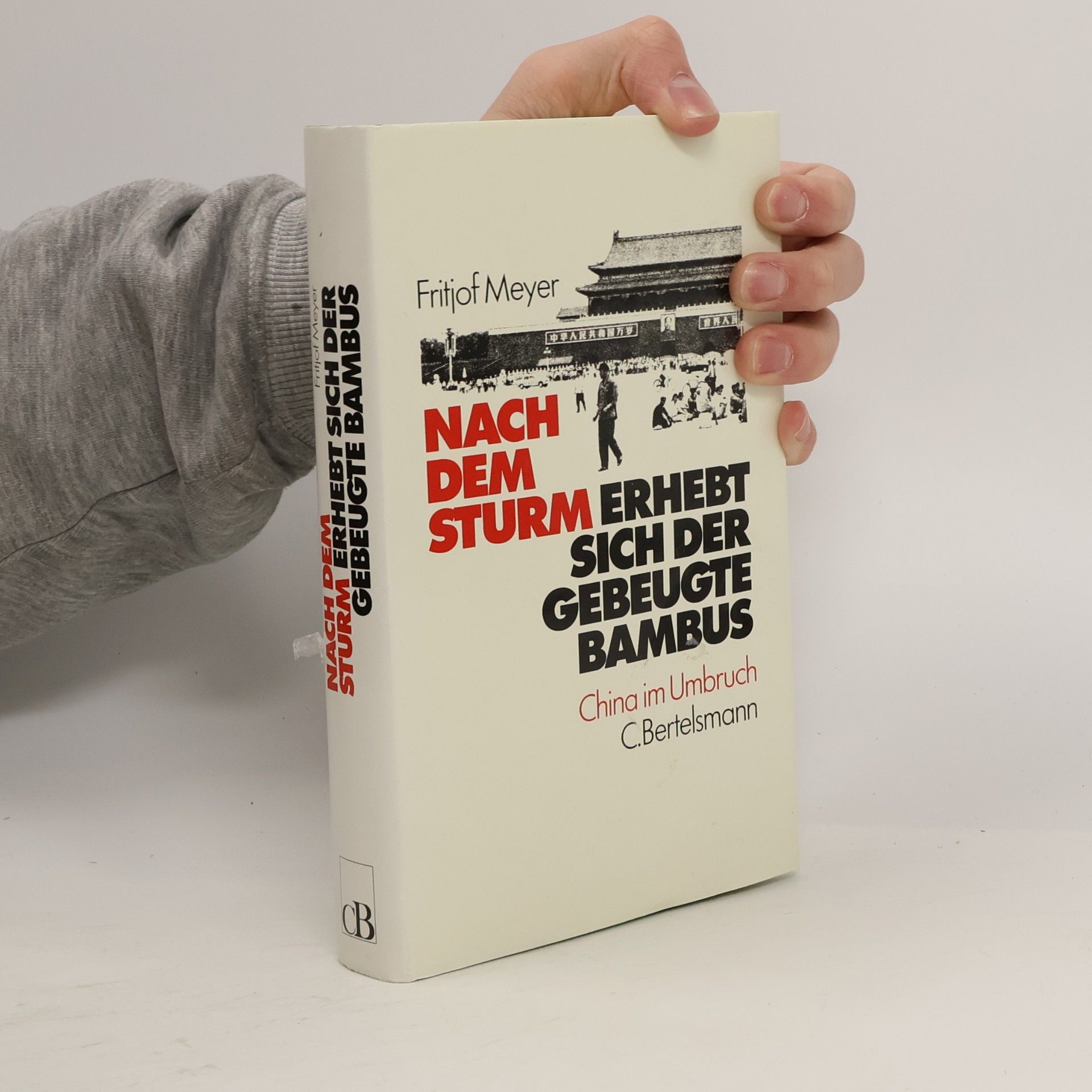 Nach dem Sturm erhebt sich der gebeugte Bambus
