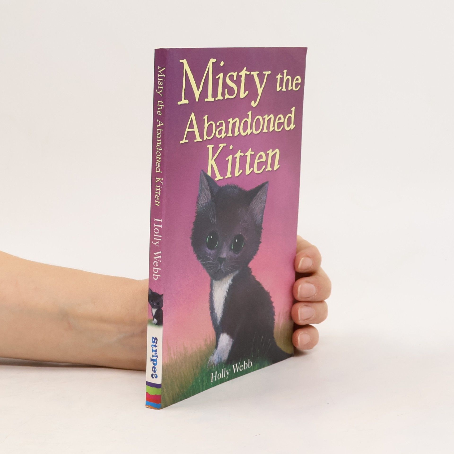 Misty the Abandoned Kitten