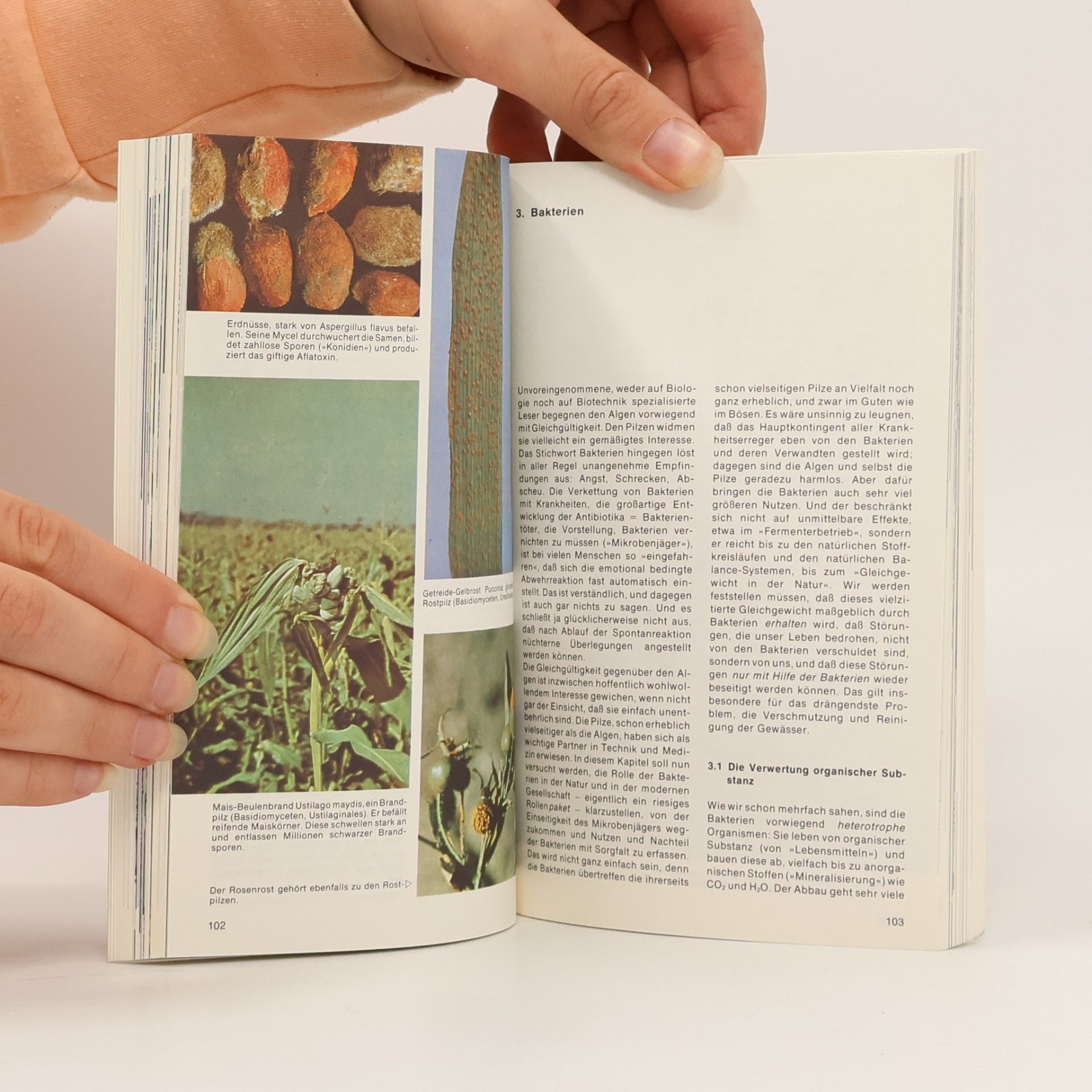 Hans Joachim Bogen Knaurs Buch der Biotechnik