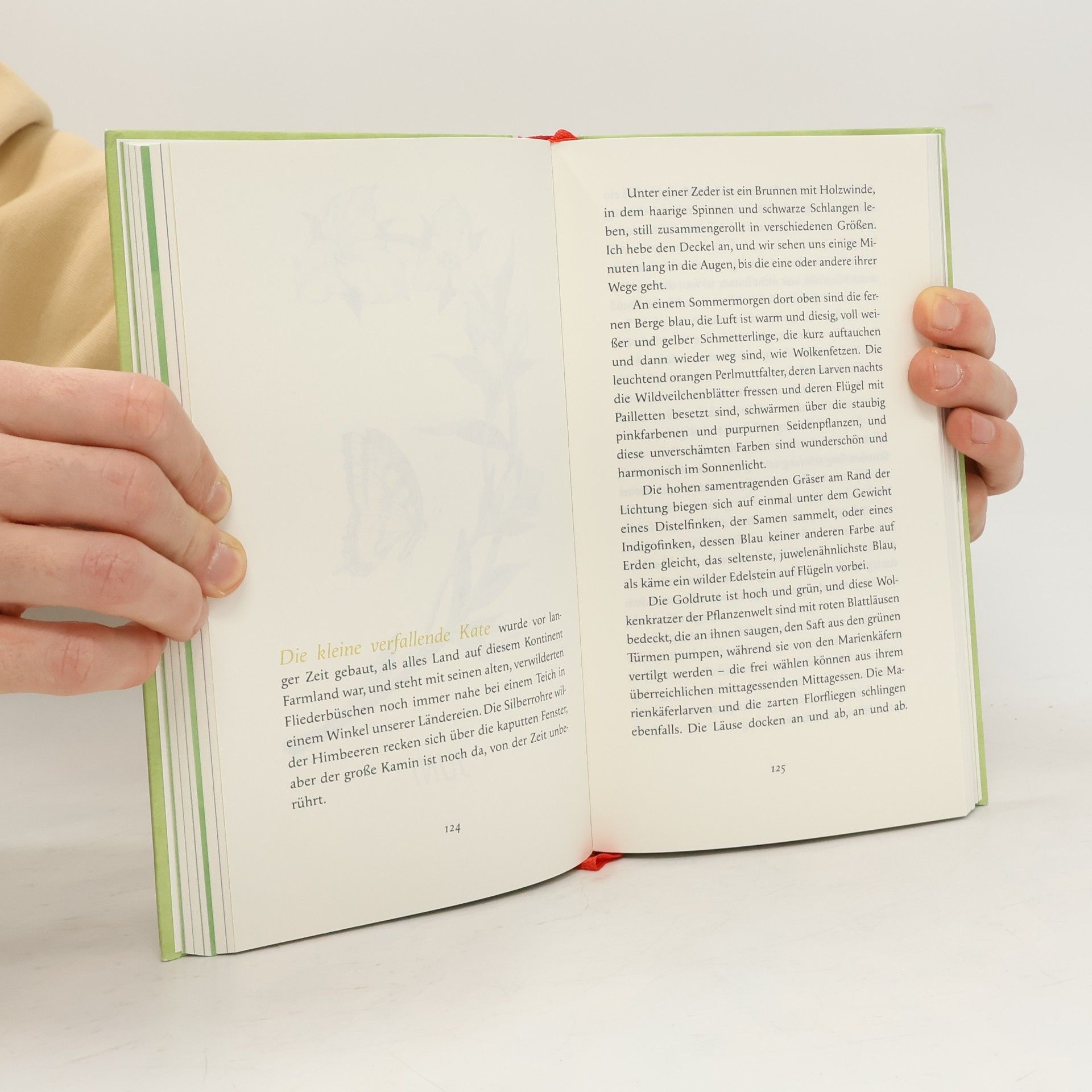 Josephine Johnson Die Andere Bibliothek - 488: Ein Jahr in der Natur
