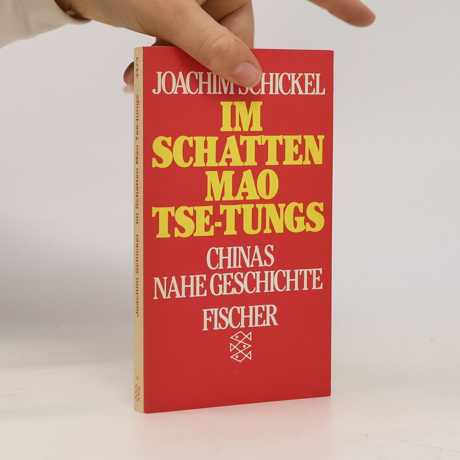 Im Schatten Mao Tse-Tungs