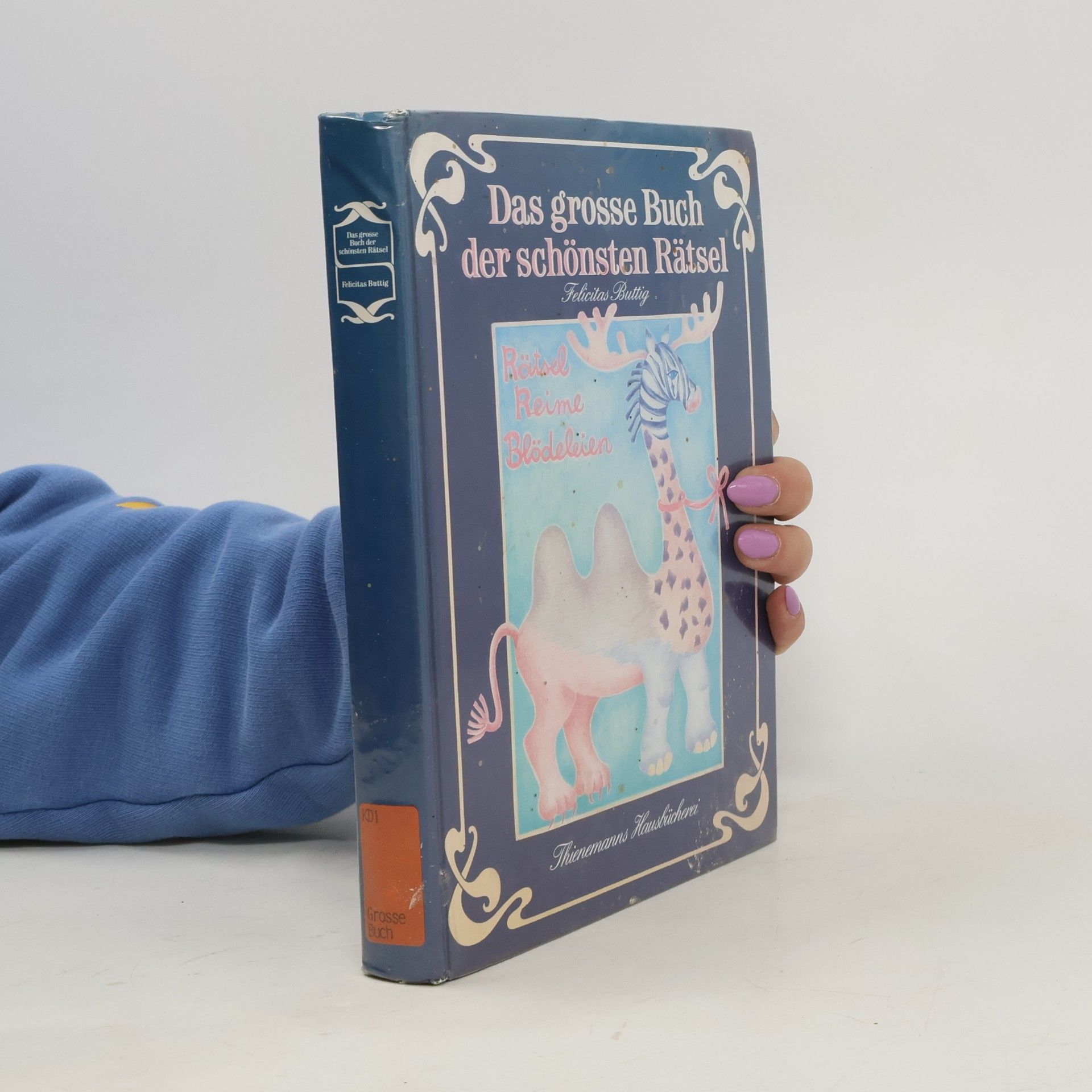 Das grosse Buch der schönsten Rätsel