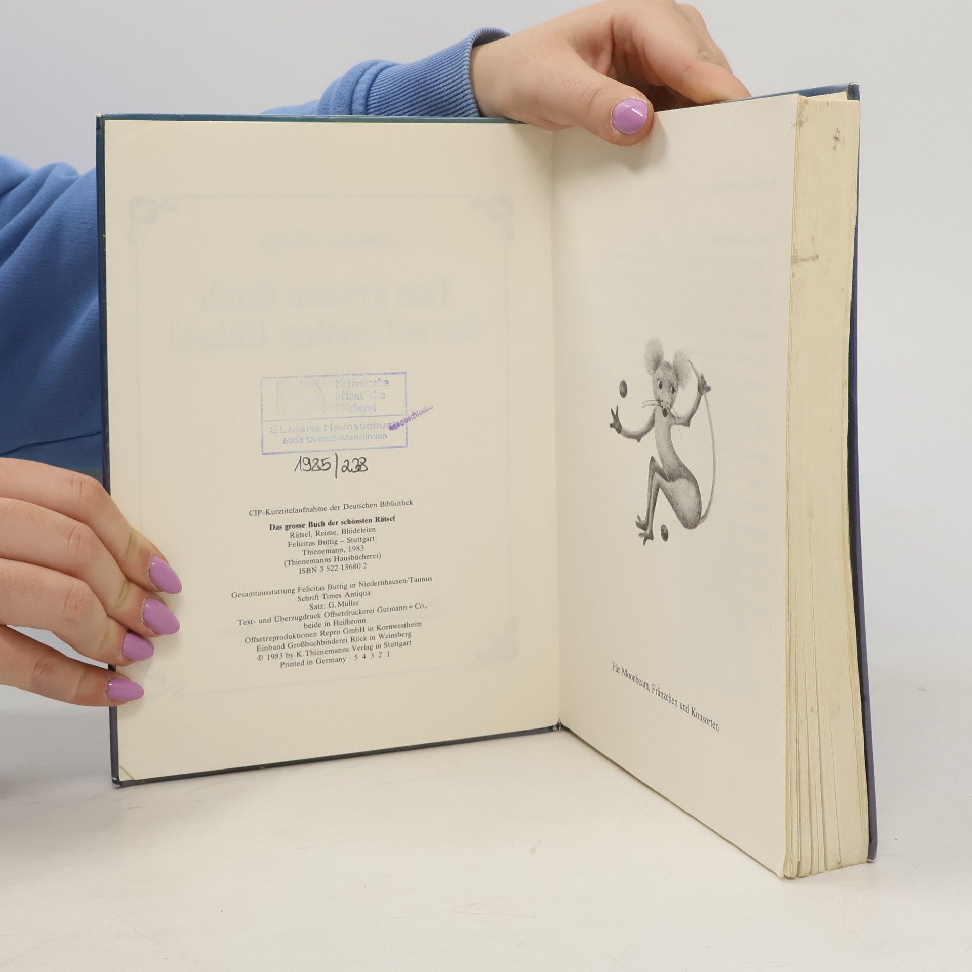 Felicitas Buttig Das grosse Buch der schönsten Rätsel