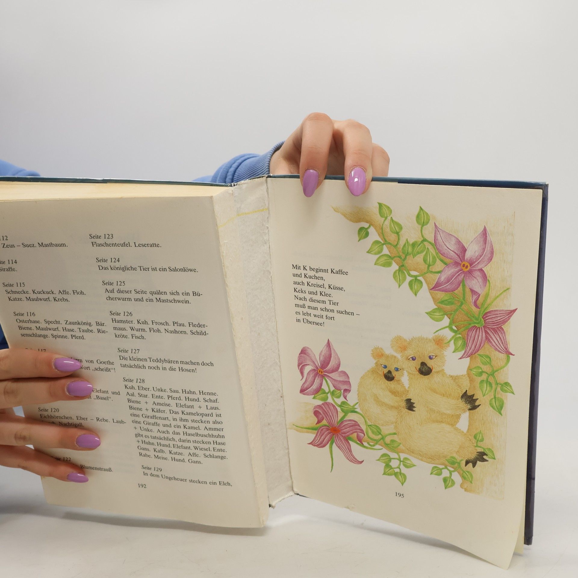 Felicitas Buttig Das grosse Buch der schönsten Rätsel