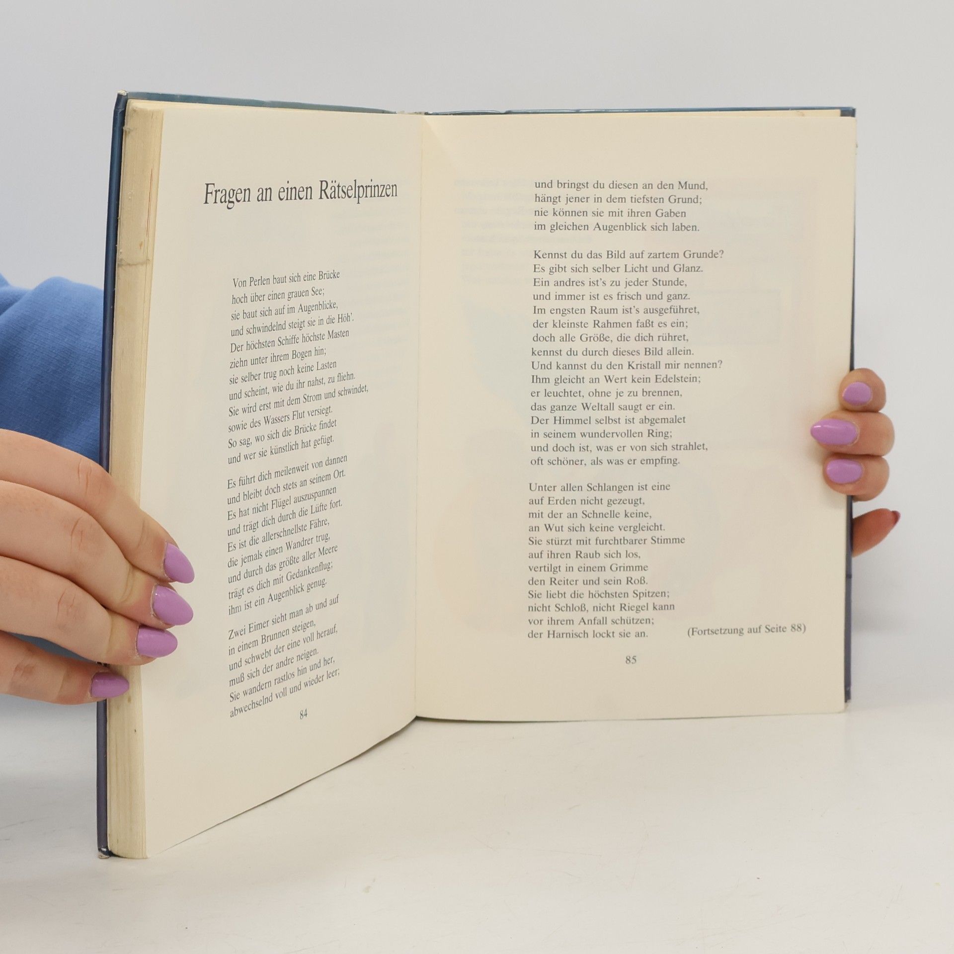 Felicitas Buttig Das grosse Buch der schönsten Rätsel