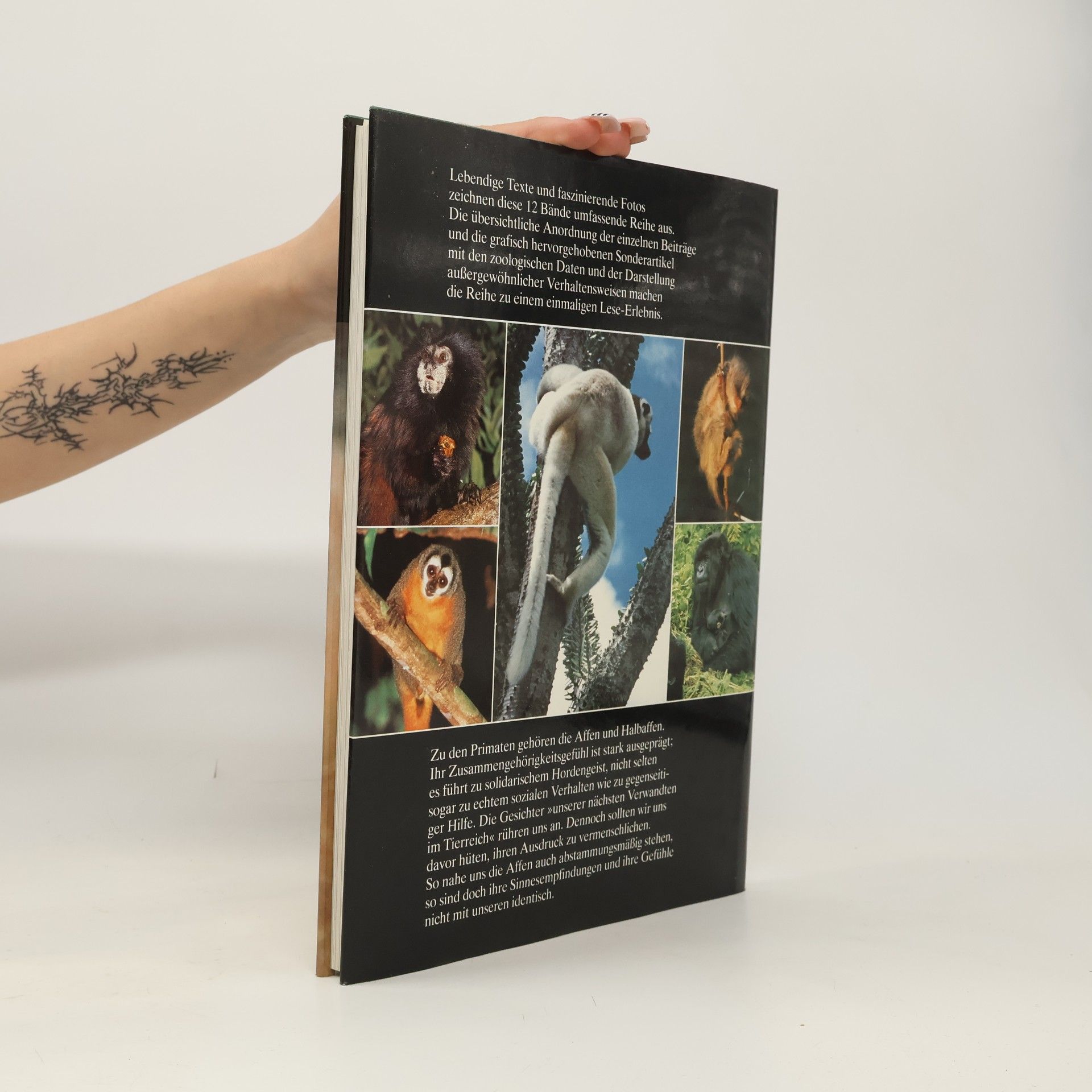 Autorenkollektiv Die Tiere unserer Welt 3. Primaten