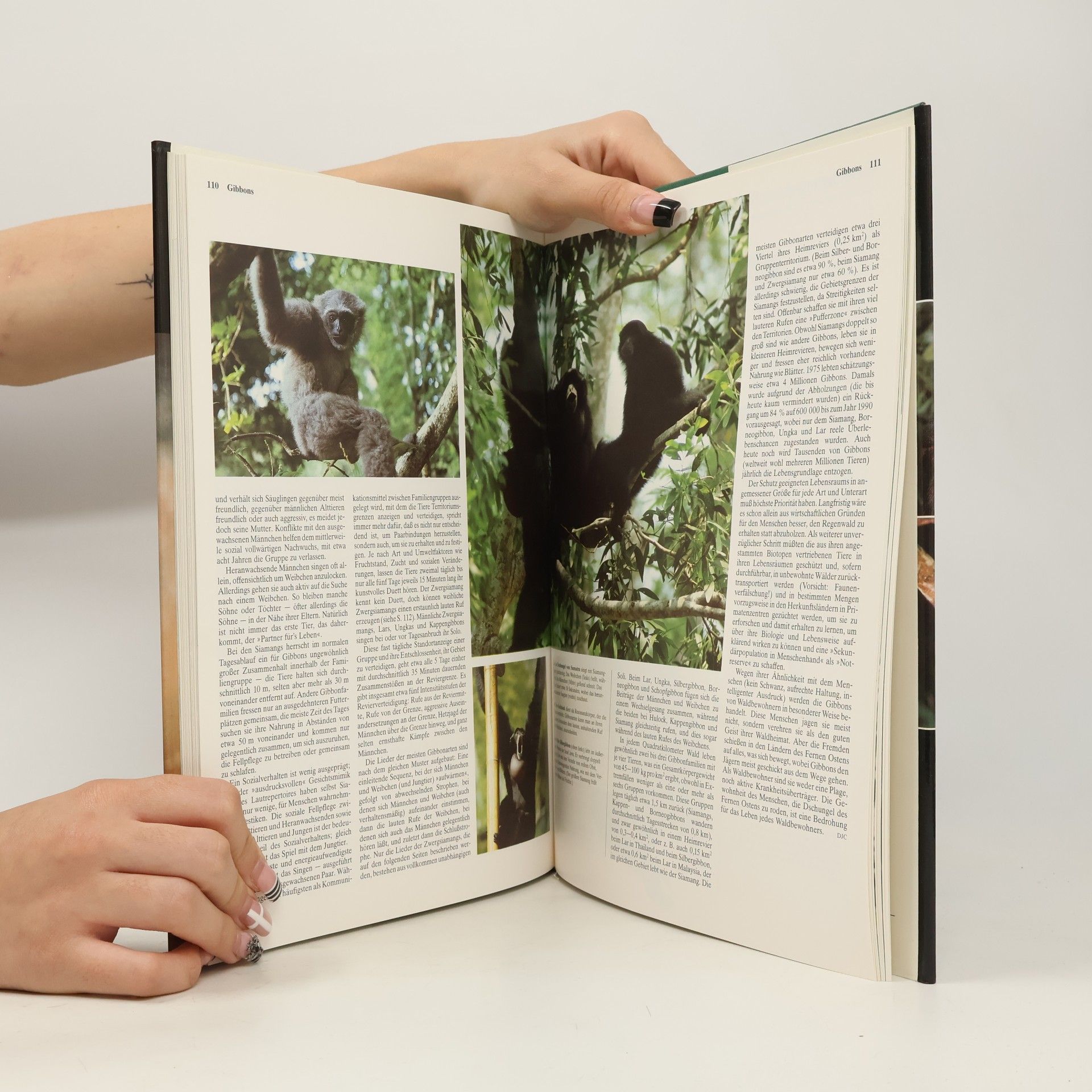 Autorenkollektiv Die Tiere unserer Welt 3. Primaten