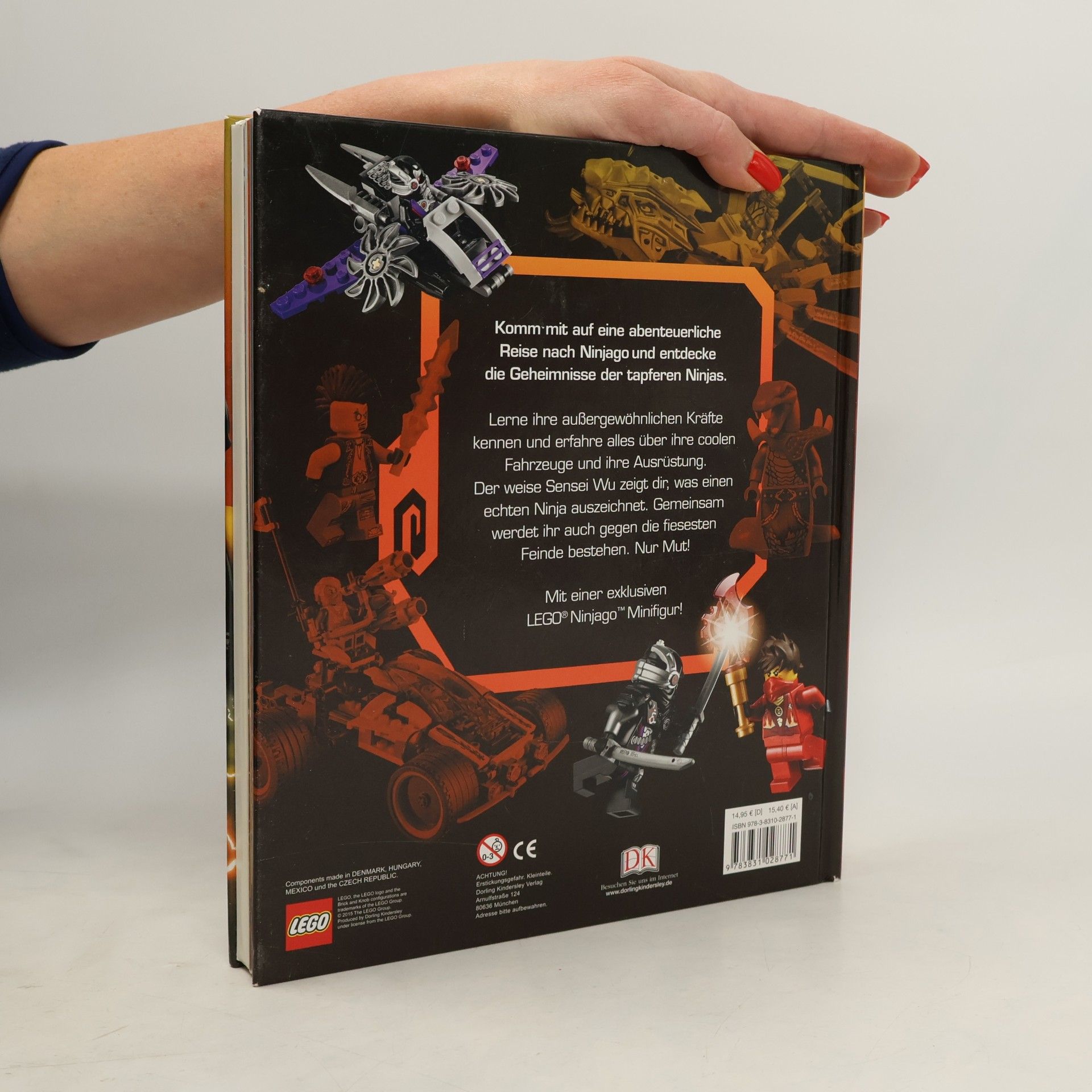Beth Landis Hester LEGO Ninjago masters of Spinjitzu - die geheime Welt der Ninjas