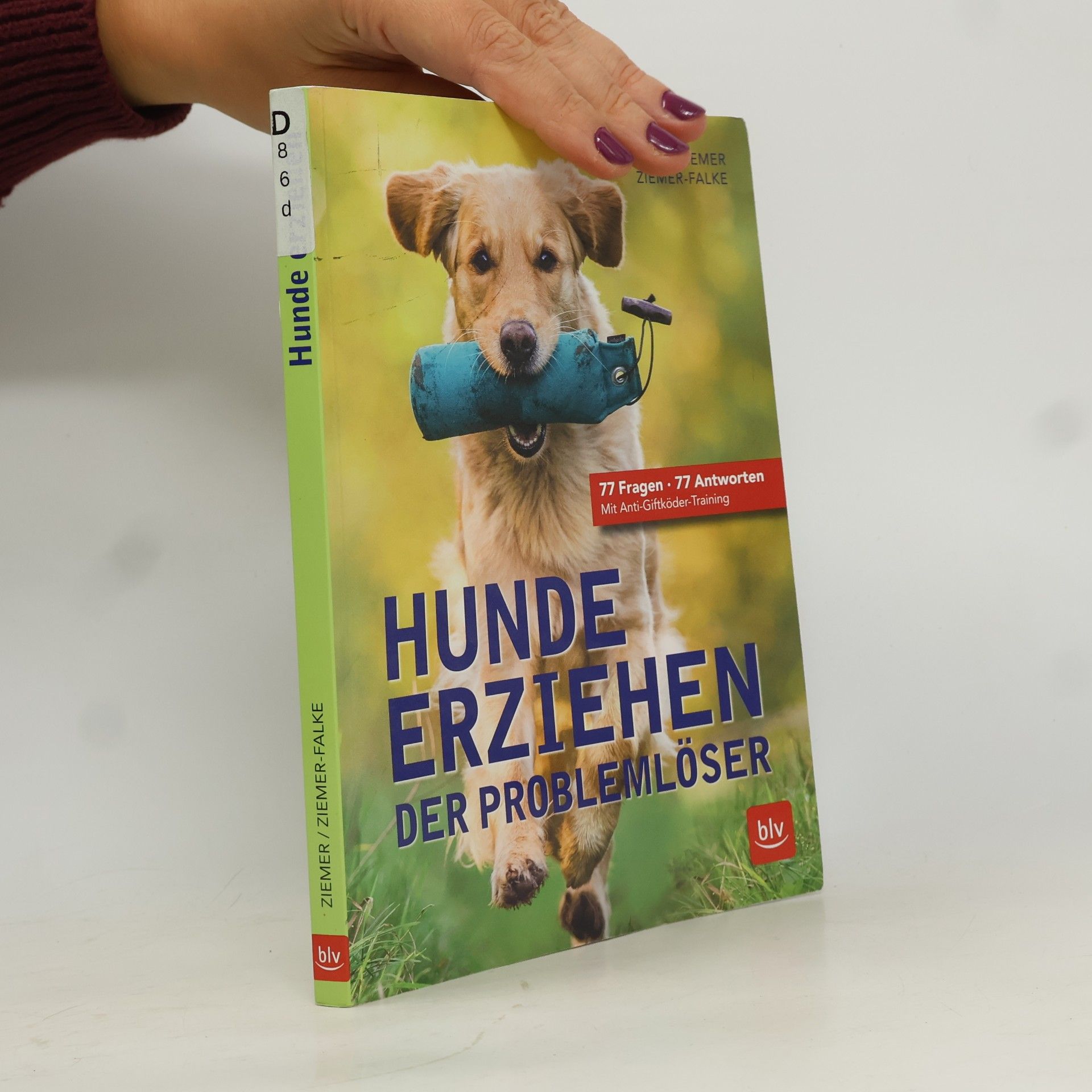 Hunde erziehen