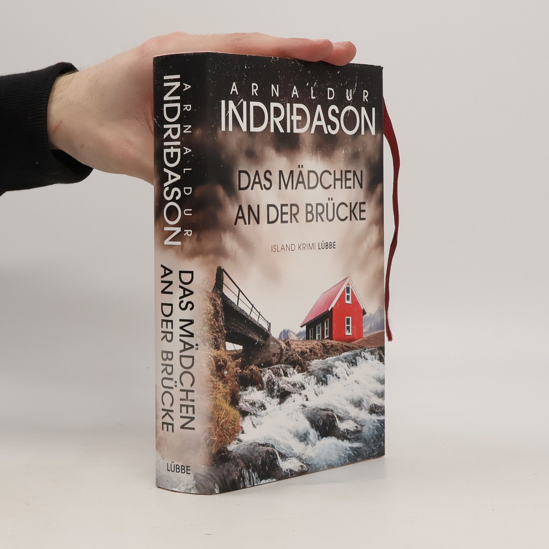 Arnaldur Indriðason Das Mädchen an der Brücke