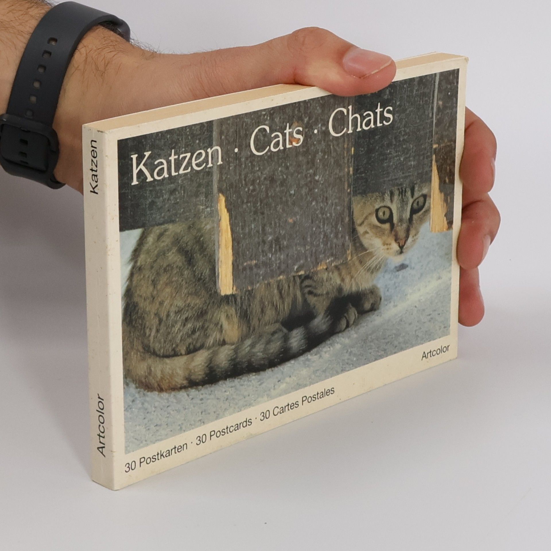 Autores varios Katzen. Cats. Chats