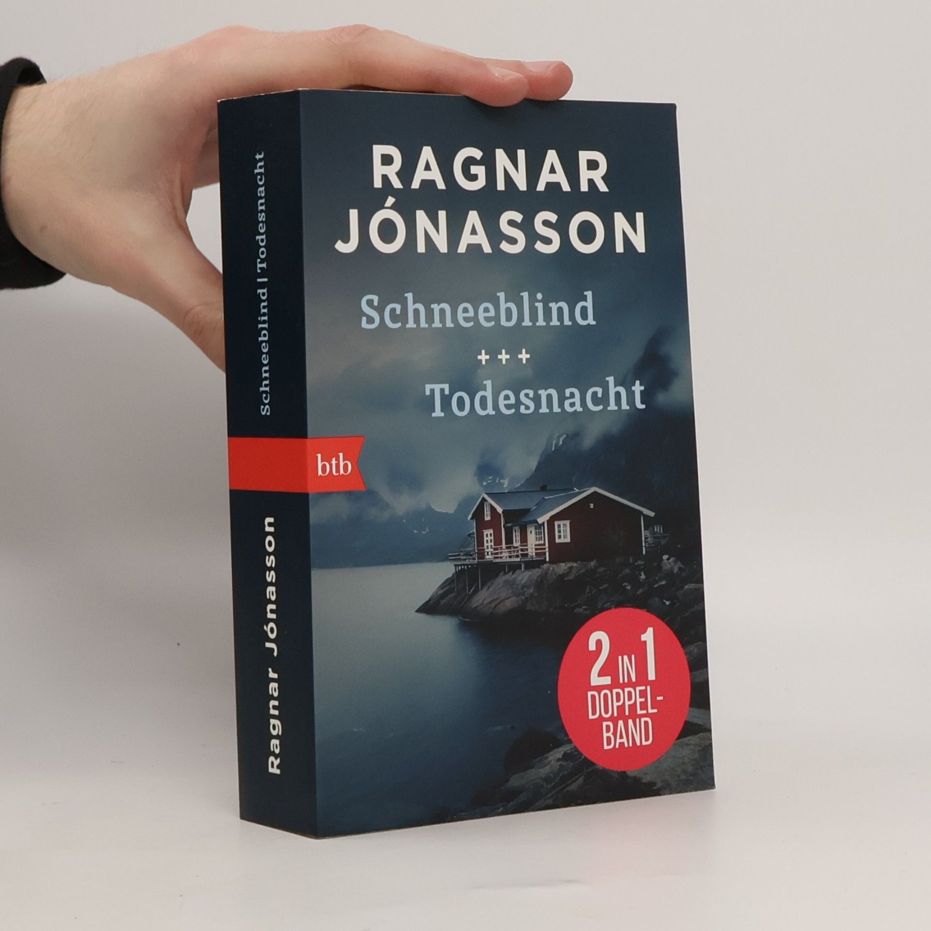 Ragnar Jónasson Schneeblind & Todesnacht