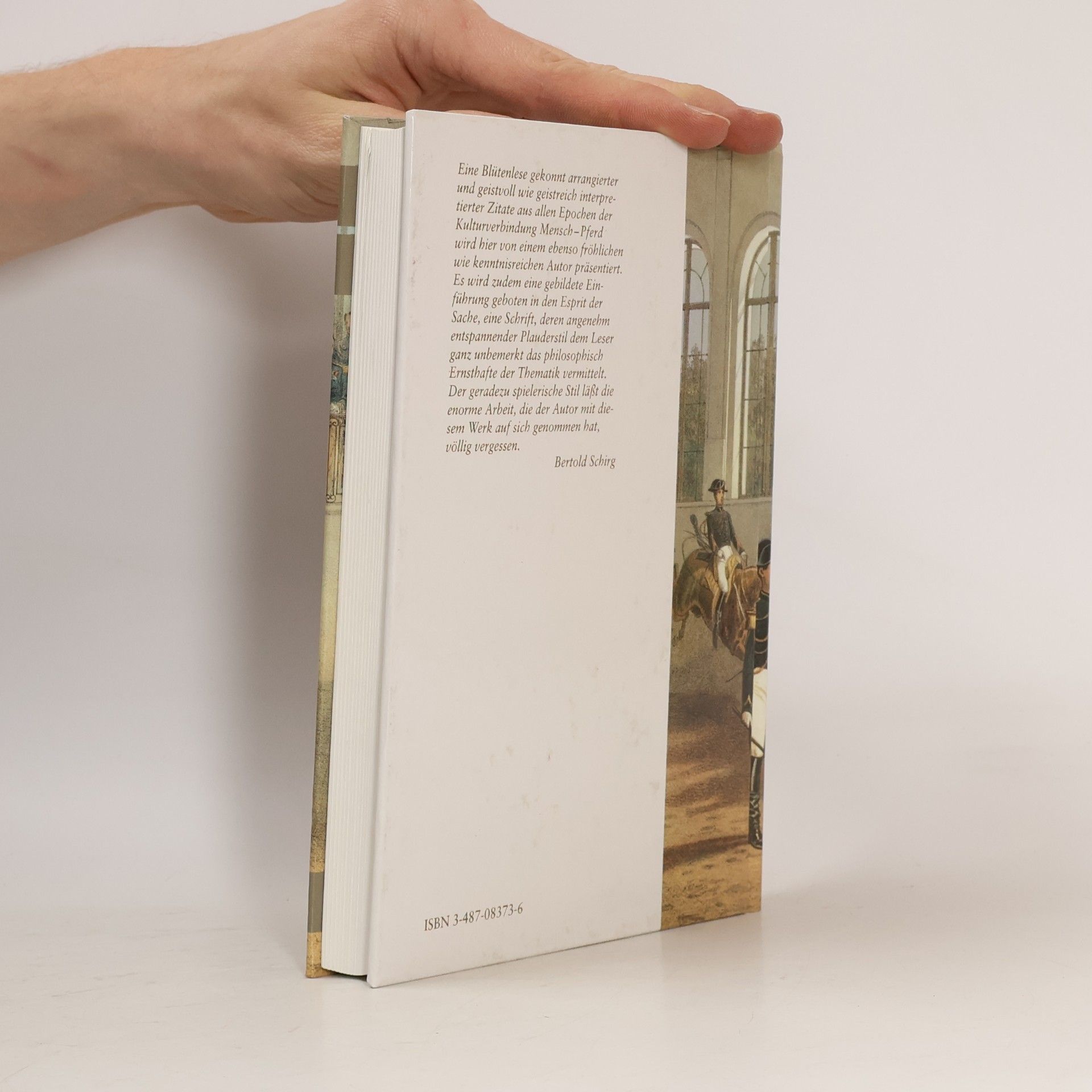 Werner Bohm Ross und Reiter in der Kulturgeschichte