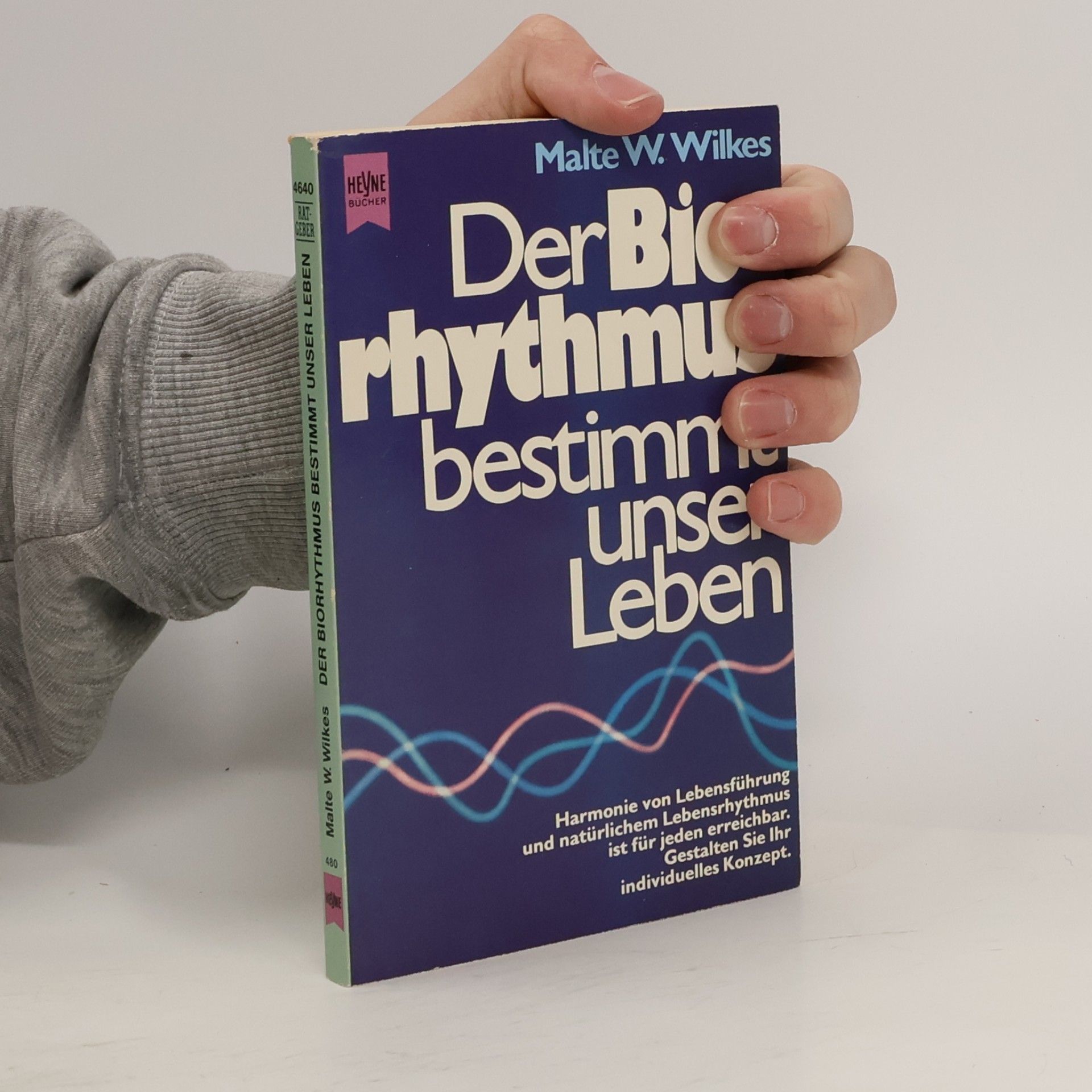 Der Biorhythmus bestimmt unser Leben