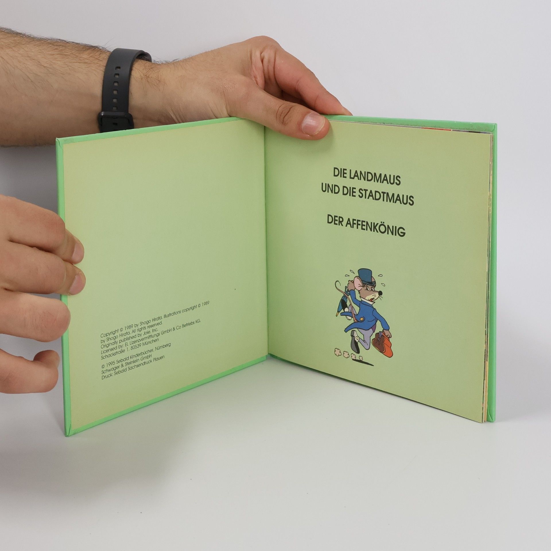 Autorenkollektiv Die Landmaus und die Stadtmaus - Der Affenkönig