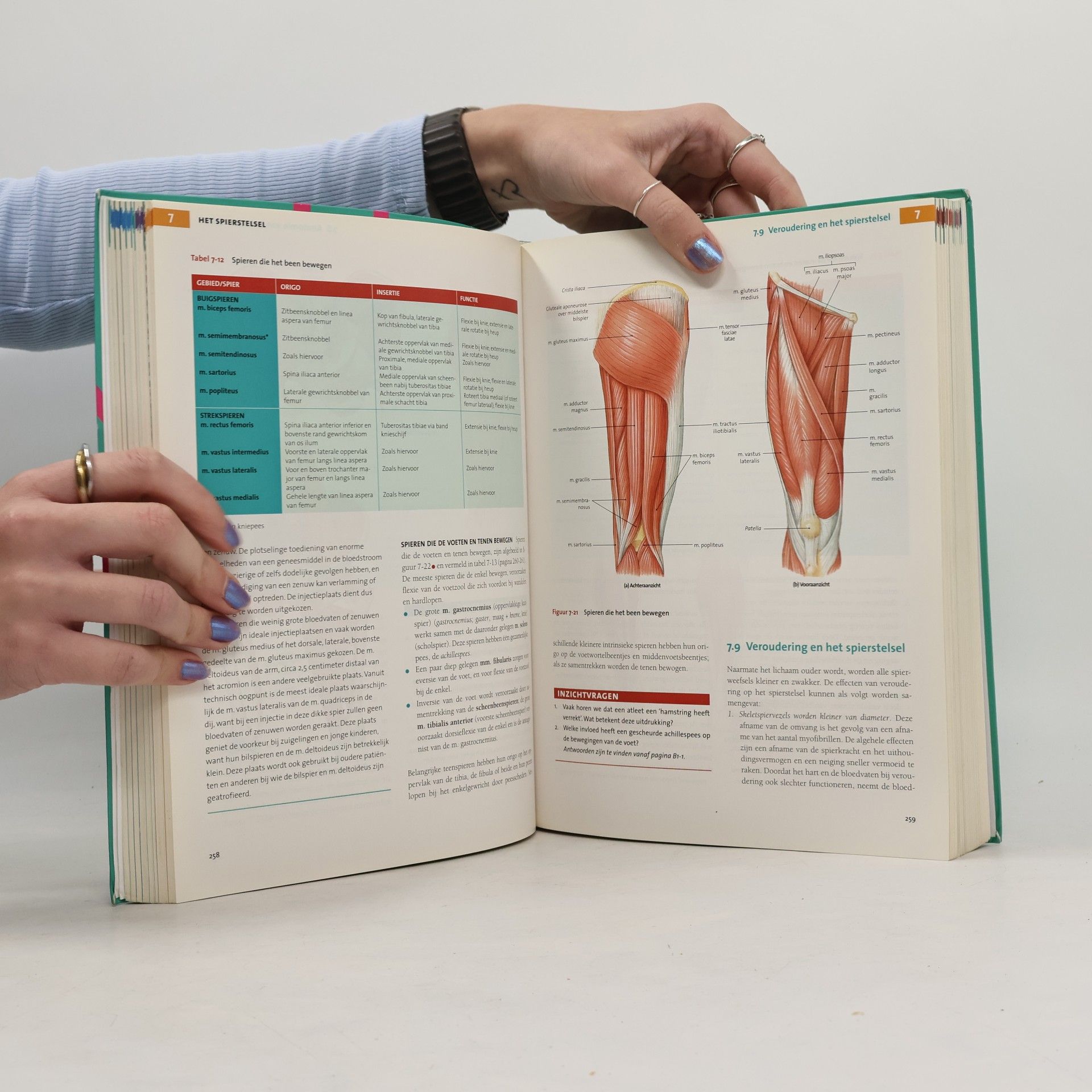 Frederic H. Martini Anatomie en fysiologie