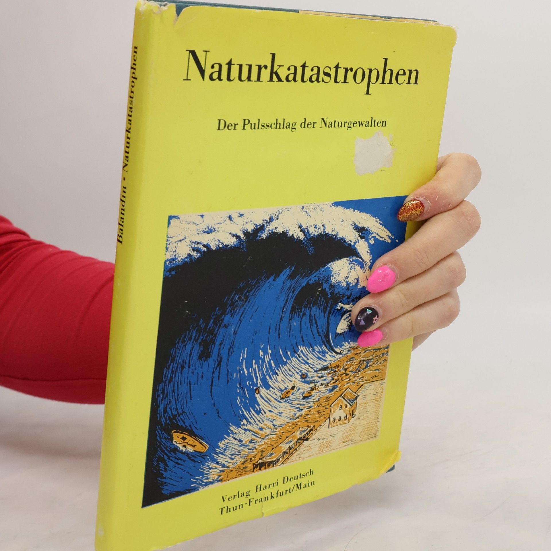 Horst Rast Naturkatastrophen