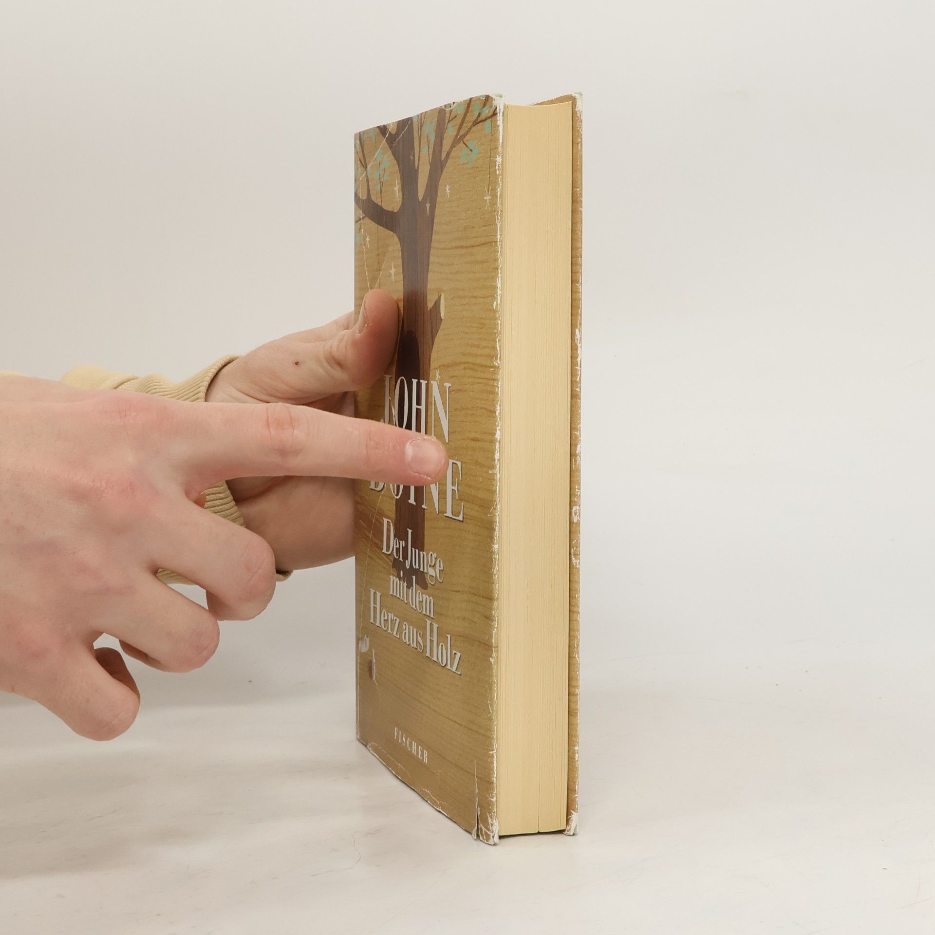 John Boyne Der Junge mit dem Herz aus Holz