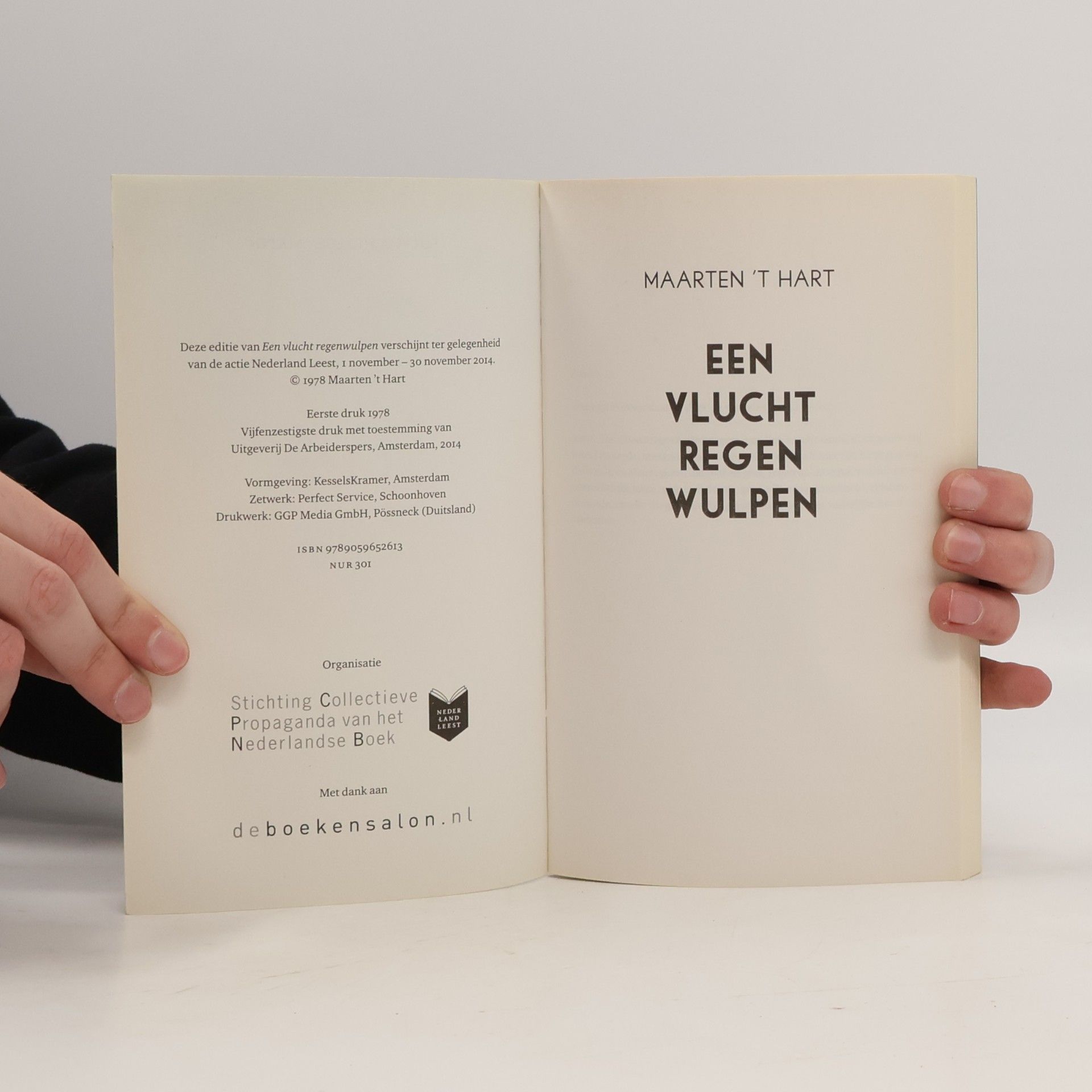 Maarten ’t Hart Een vlucht regenwulpen
