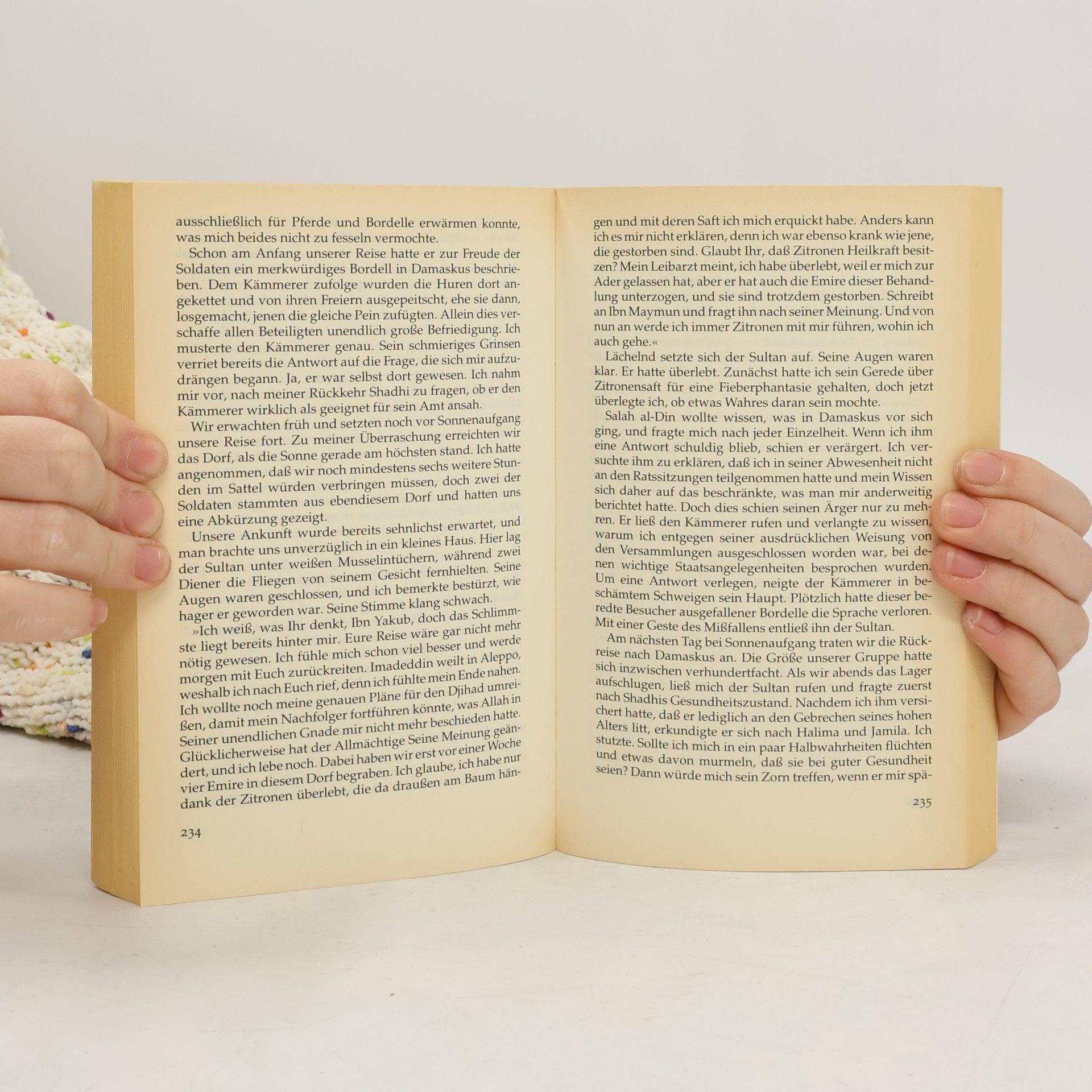 Tariq Ali Das Buch Saladin