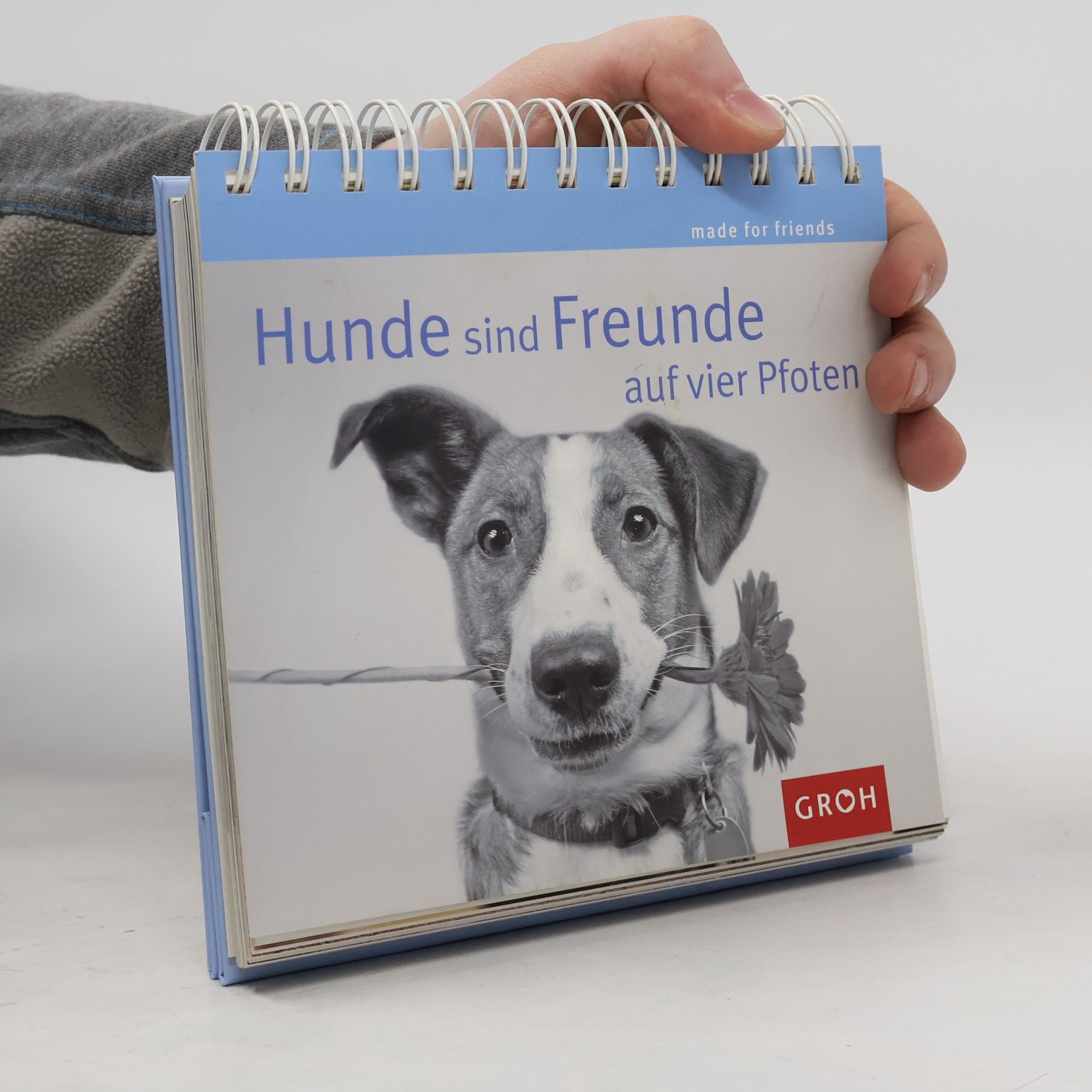 Marla Lennard Made for Friends: Hunde sind Freunde auf vier Pfoten