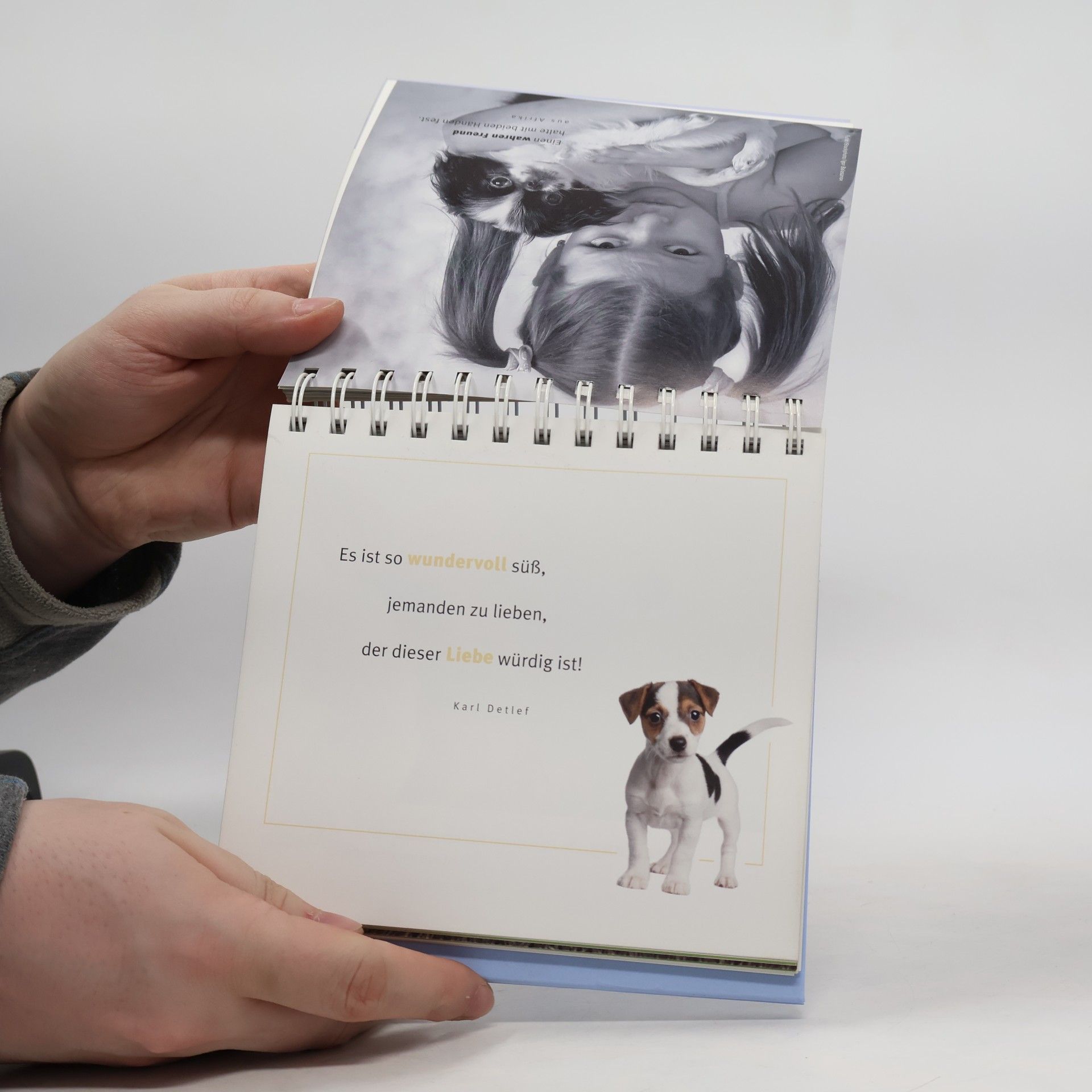 Marla Lennard Made for Friends: Hunde sind Freunde auf vier Pfoten