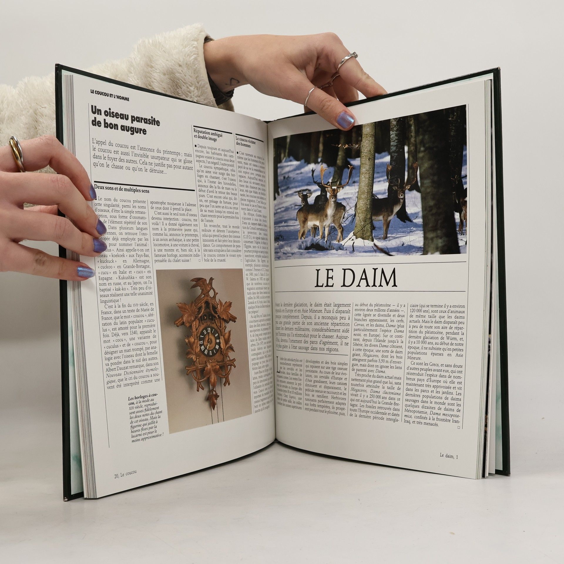 Autorenkollektiv Animaux de la campagne et des bois