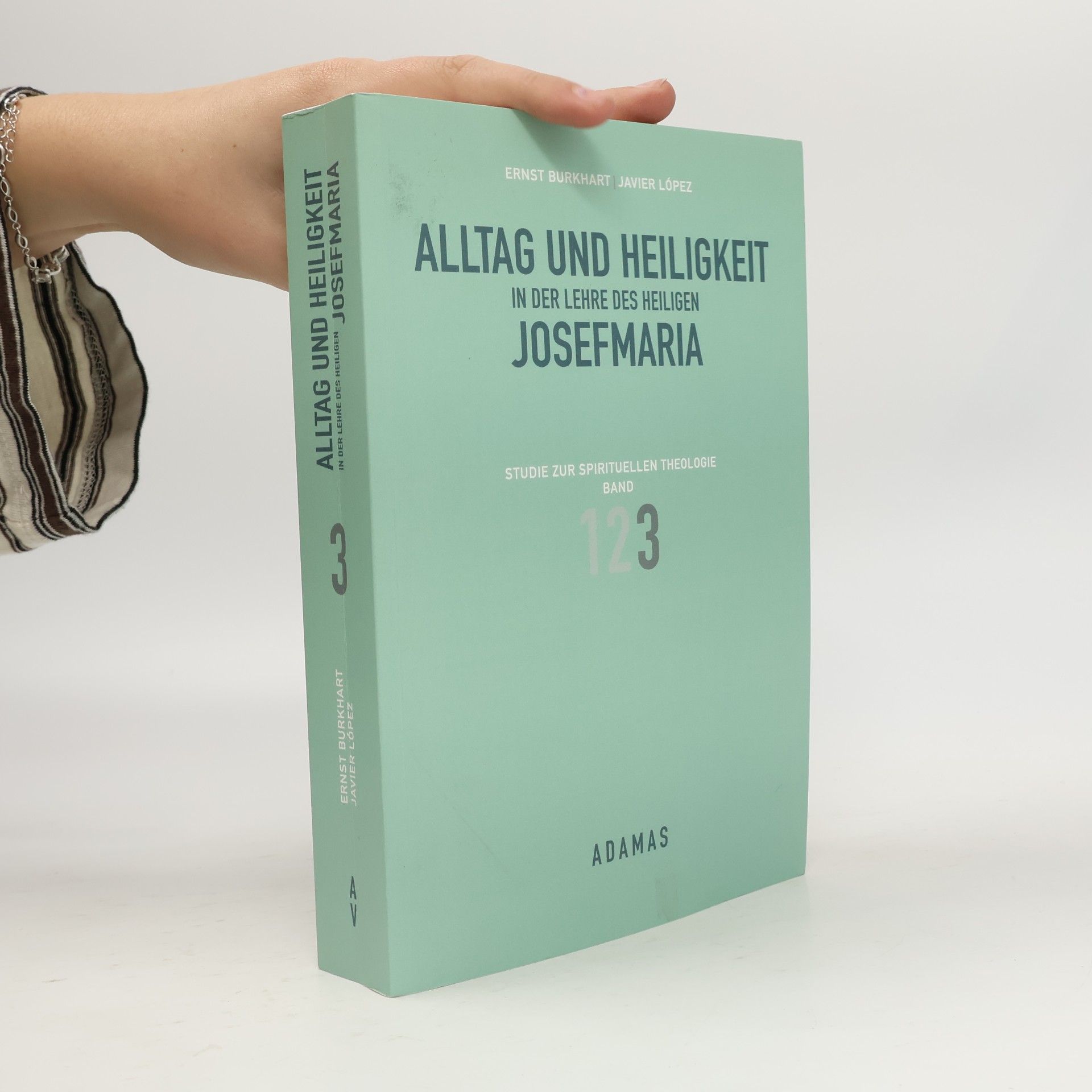 Alltag und Heiligkeit in der Lehre des heiligen Josefmaria Band 3