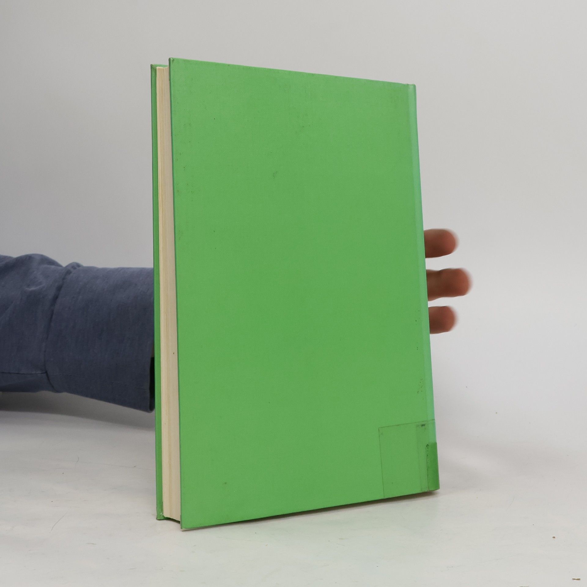 Christel Niedereichholz Innerbetriebliche Materialflußplanung