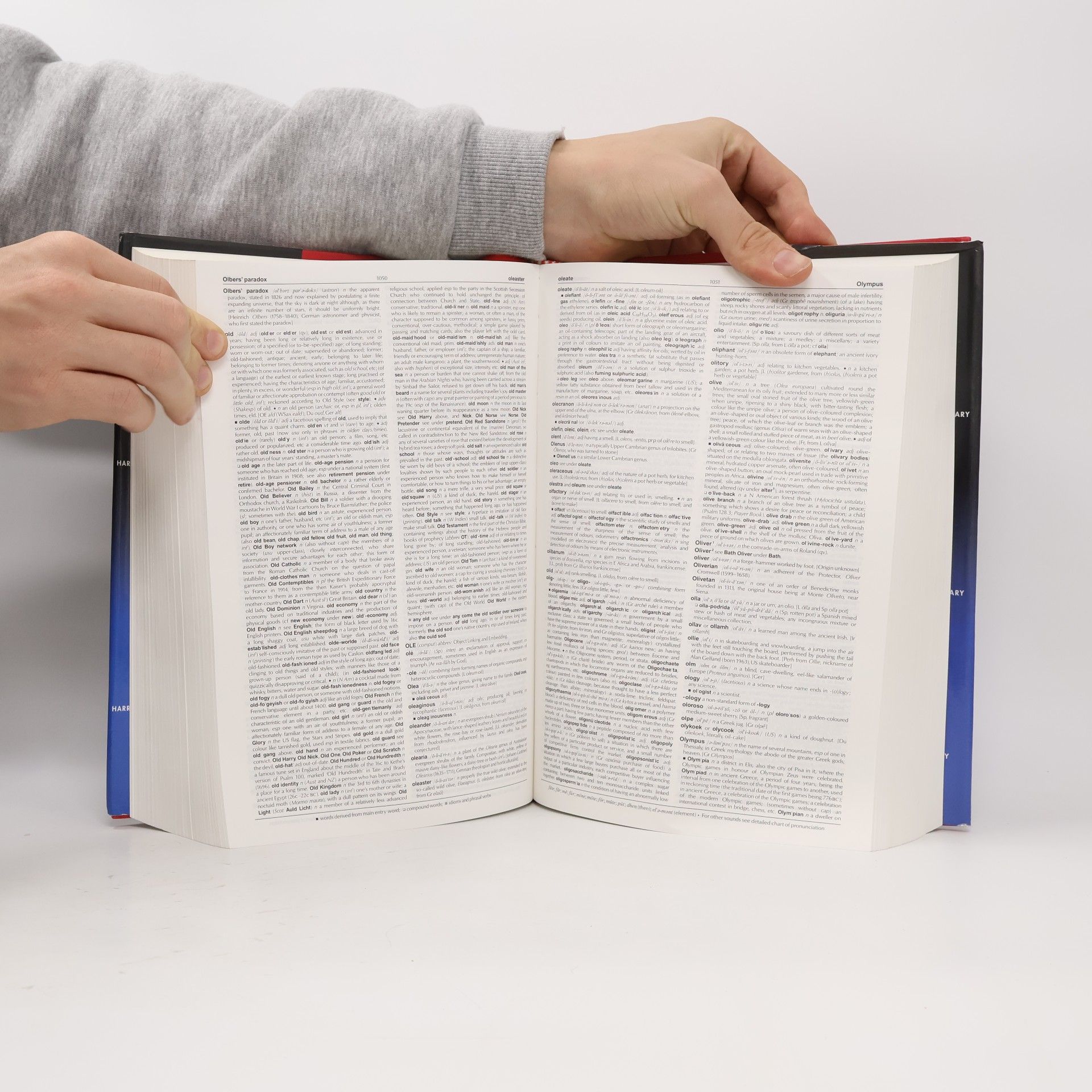 The Chambers Dictionary