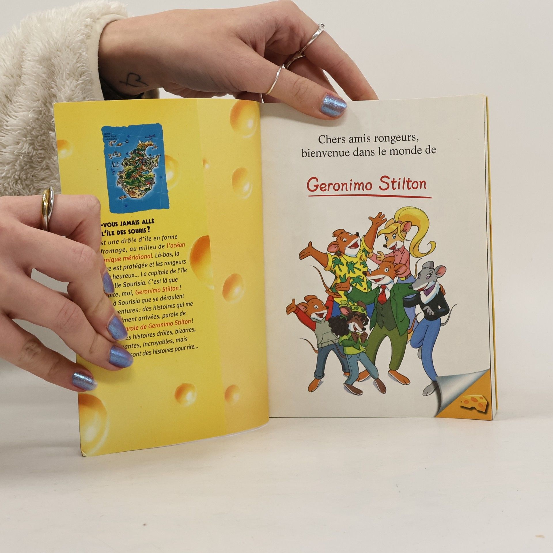 Elisabetta Dami Un week-end d'enfer pour Géronimo: Le mystère du trésor disparu